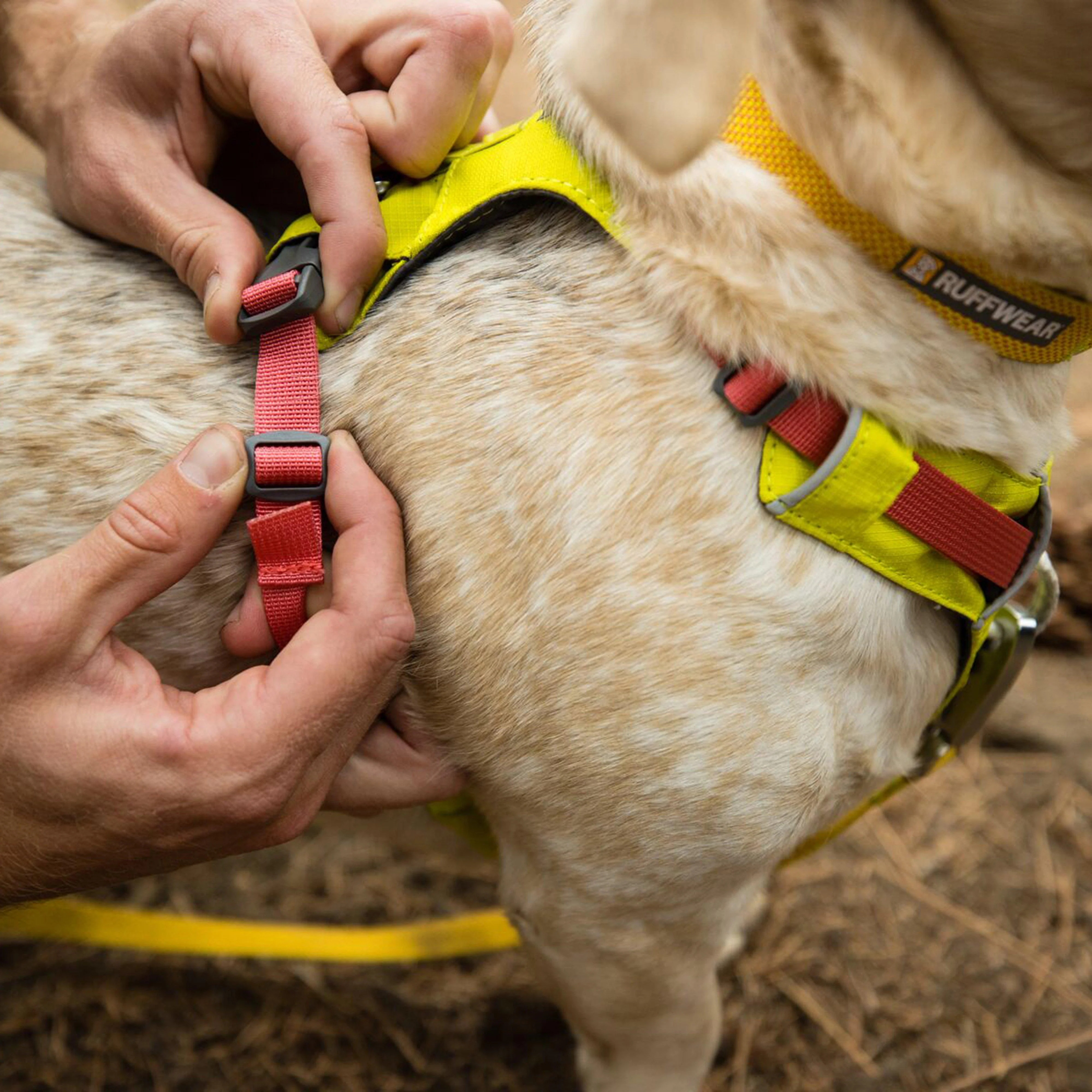 Hi & Light™ Lightweight Dog Harness Lichen Green - Medium - Image 6