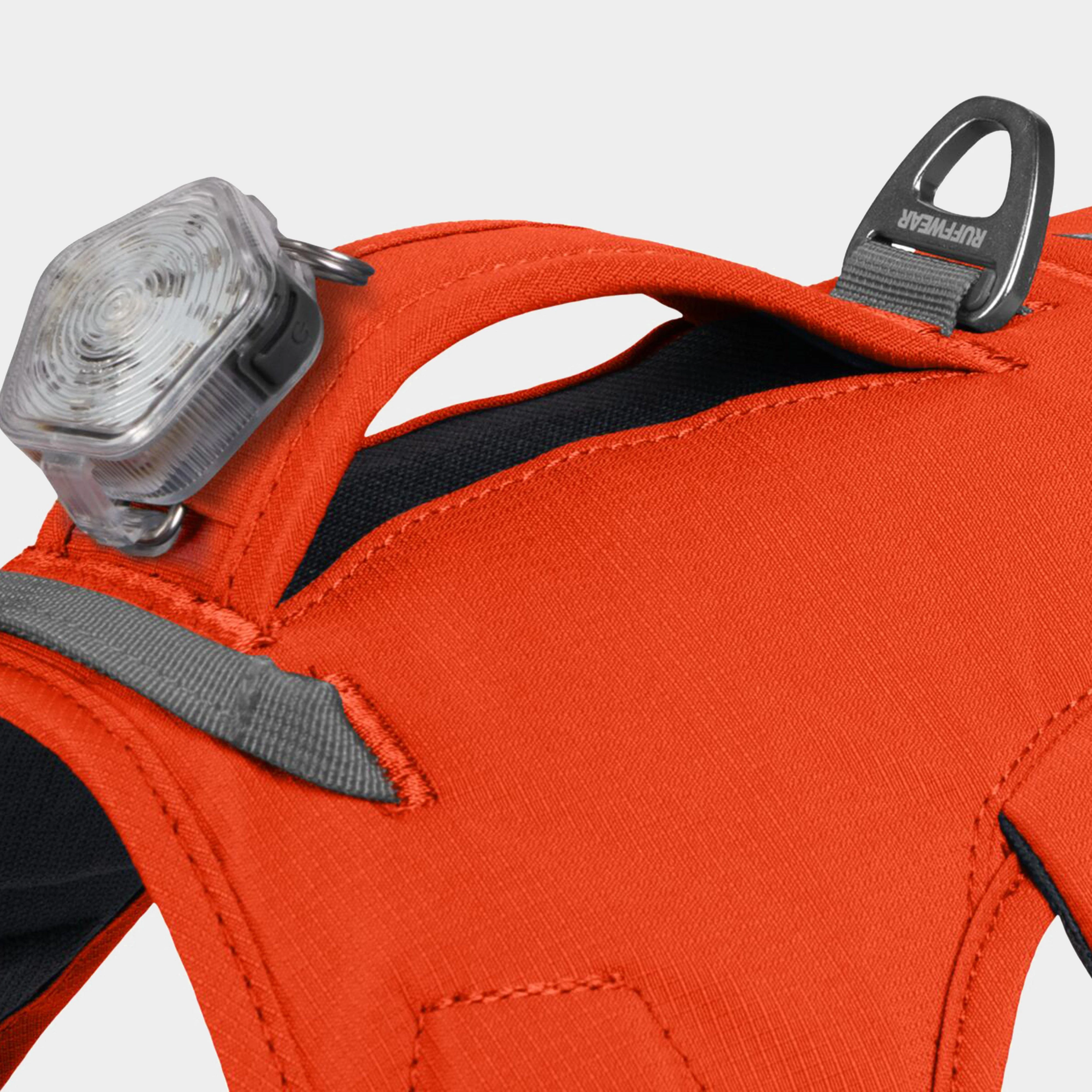 Web Master Dog Harness With Handle Blaze Orange - Image 11