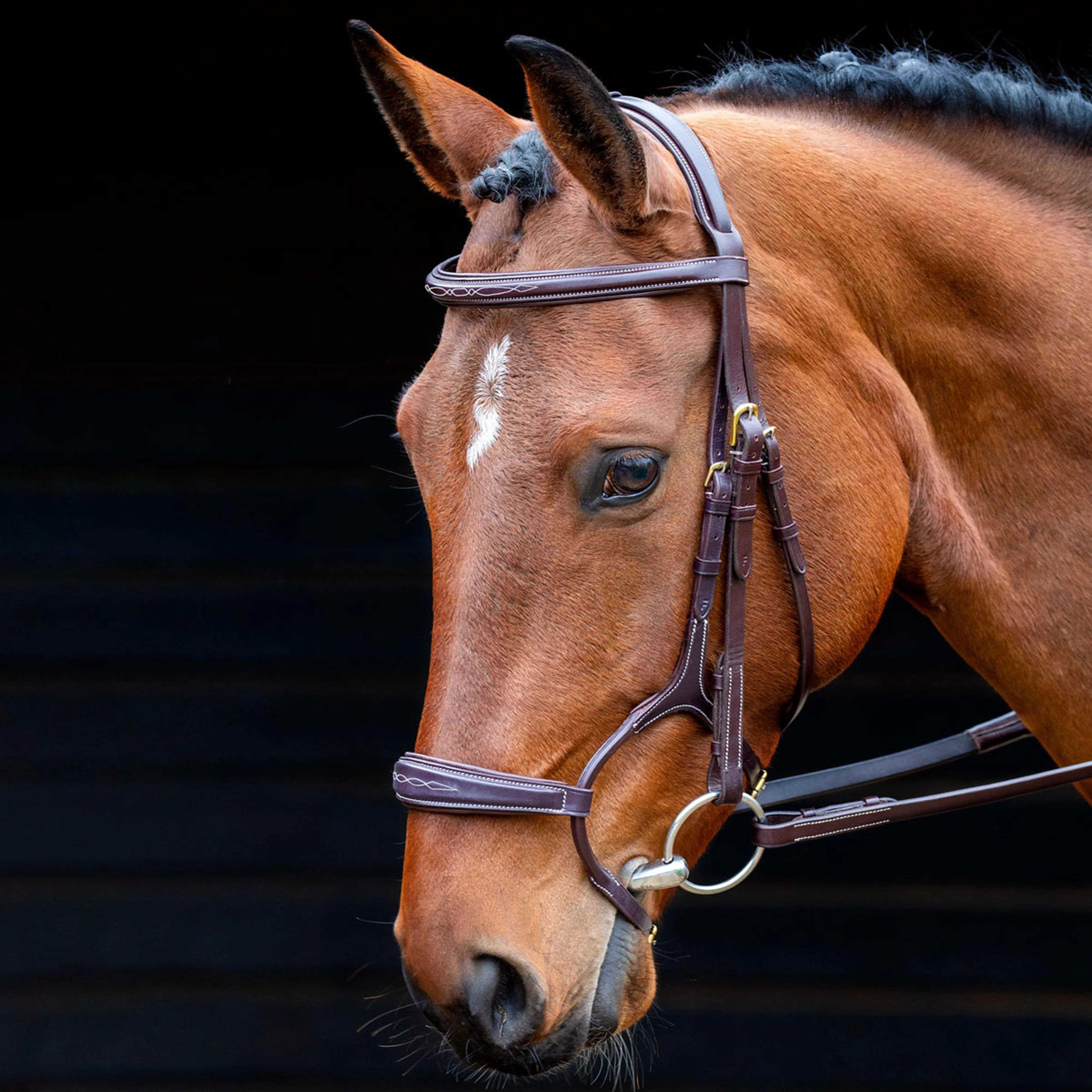 Brampton Bridle Australian Nut - Image 2