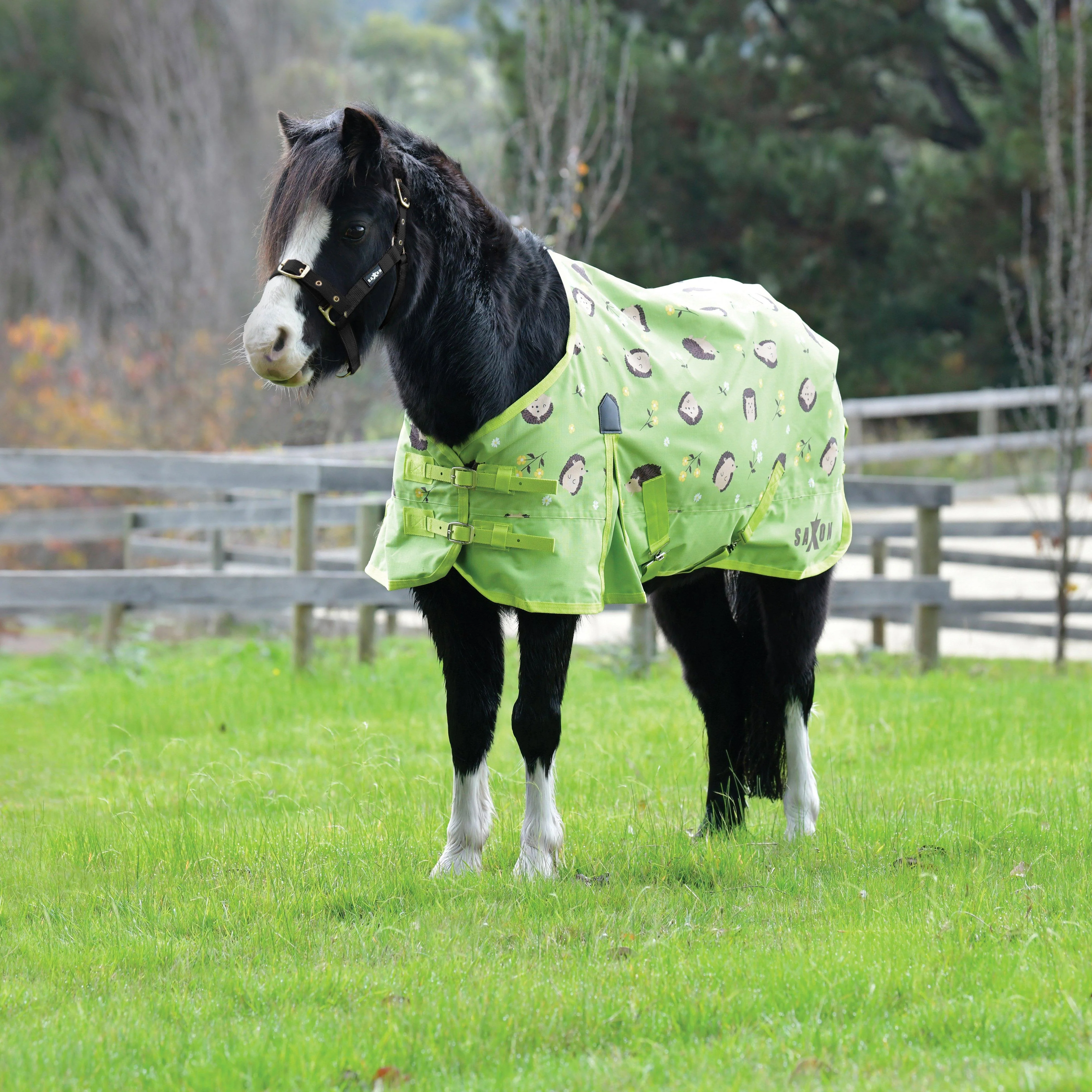 Defiant 600D Pony Standard Neck 0g Light Turnout Rug Hedgehogs & Flower Print - Image 2