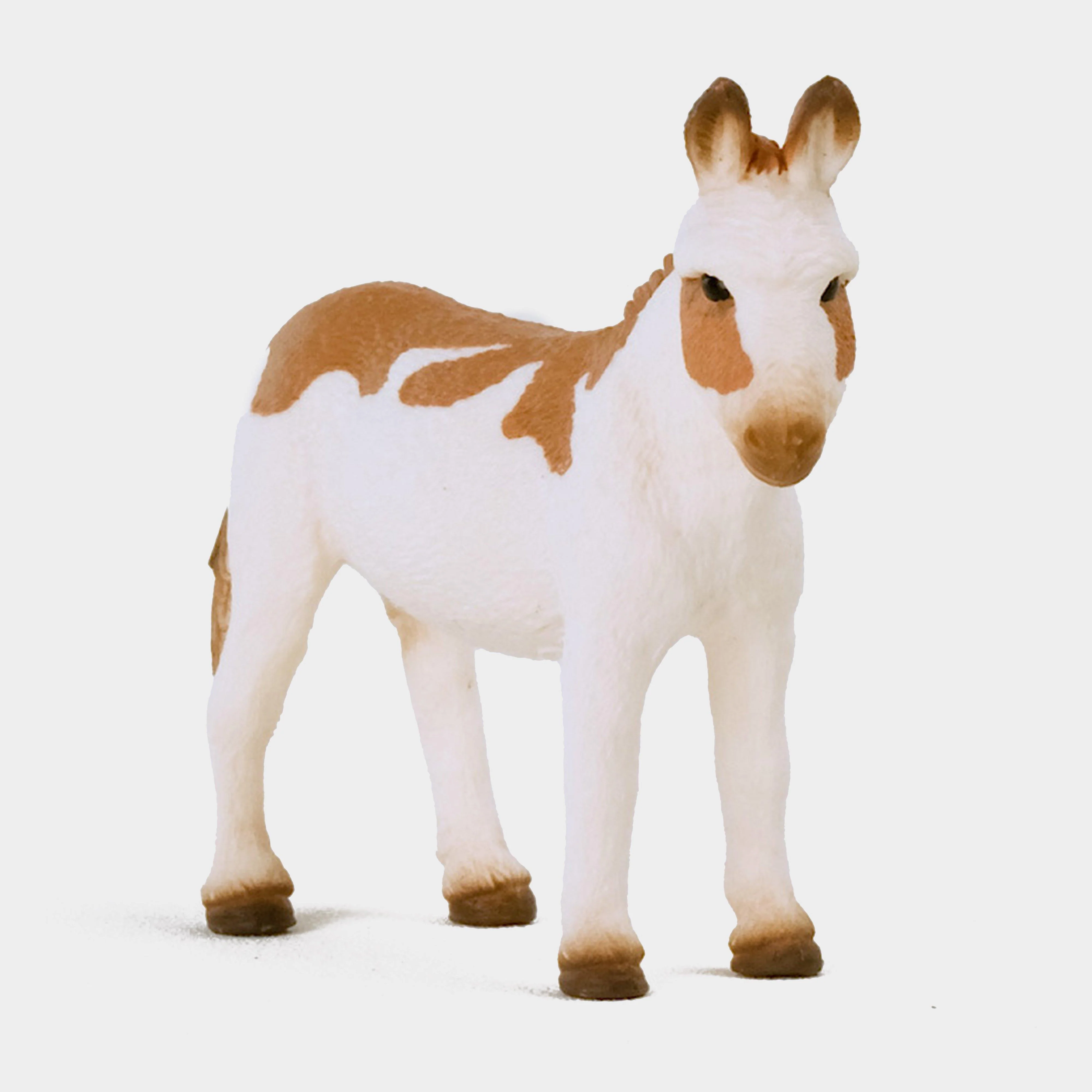 American Spotted Donkey - Image 2