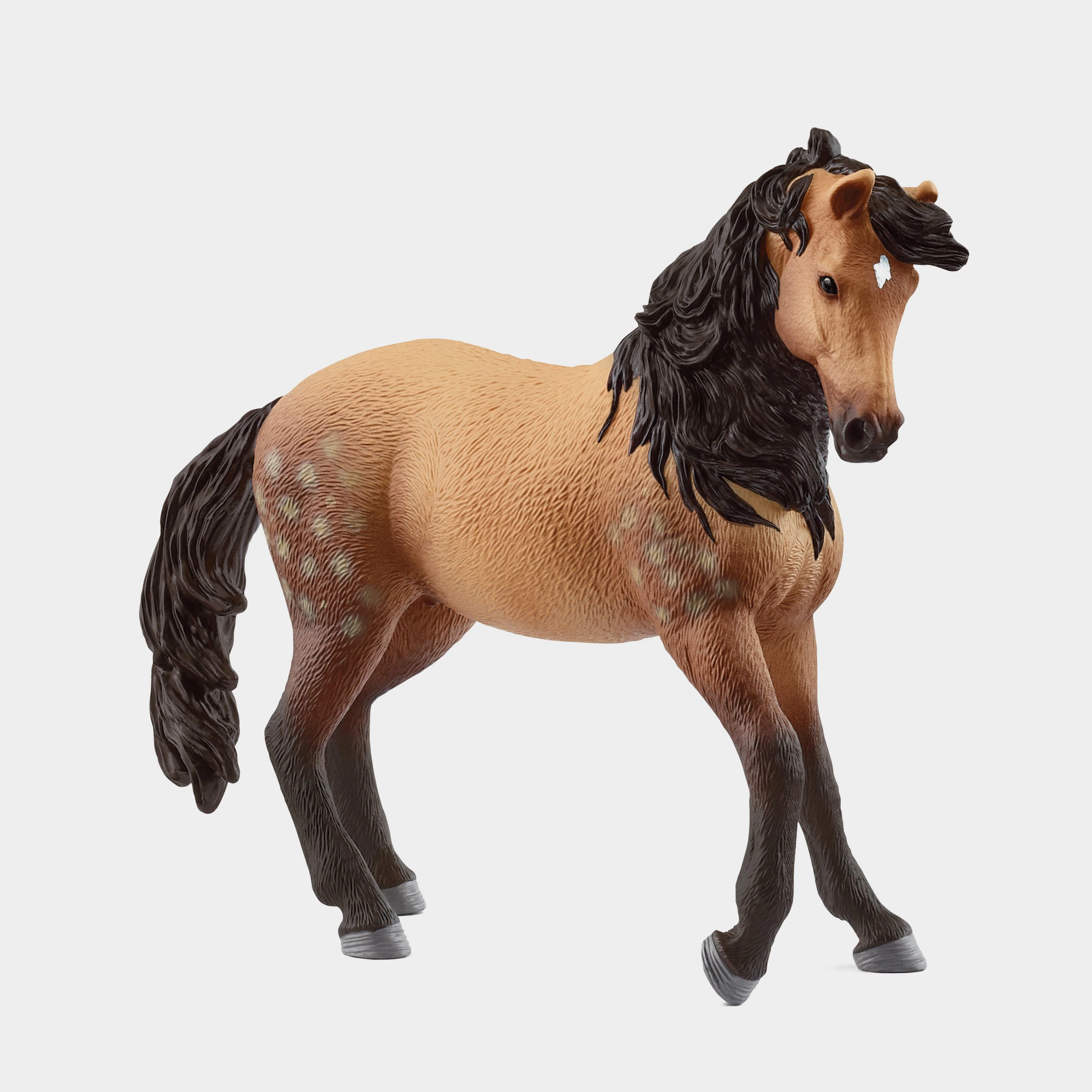 Andalusian Mare