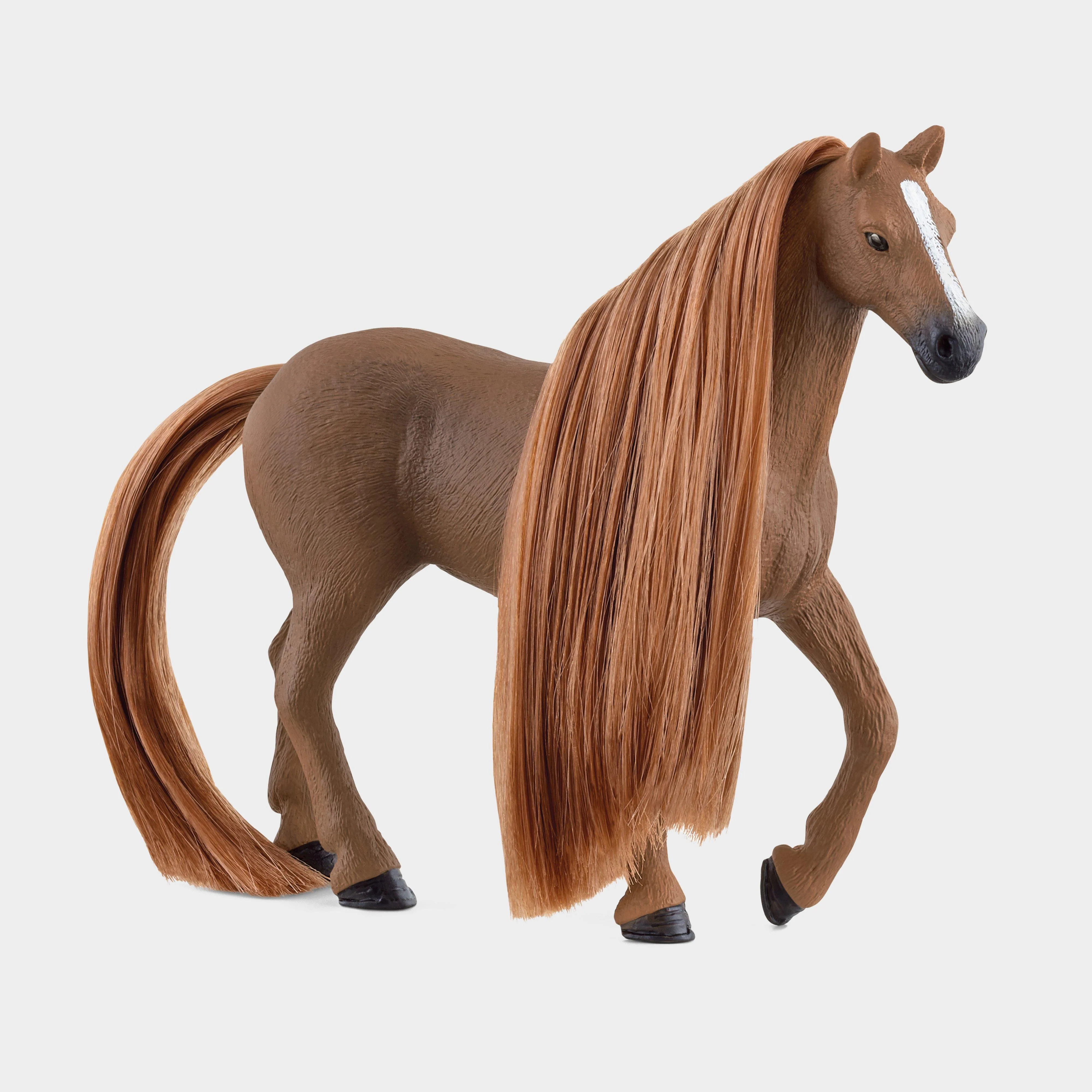 Beauty Horse English Thoroughbred Mare - Image 2