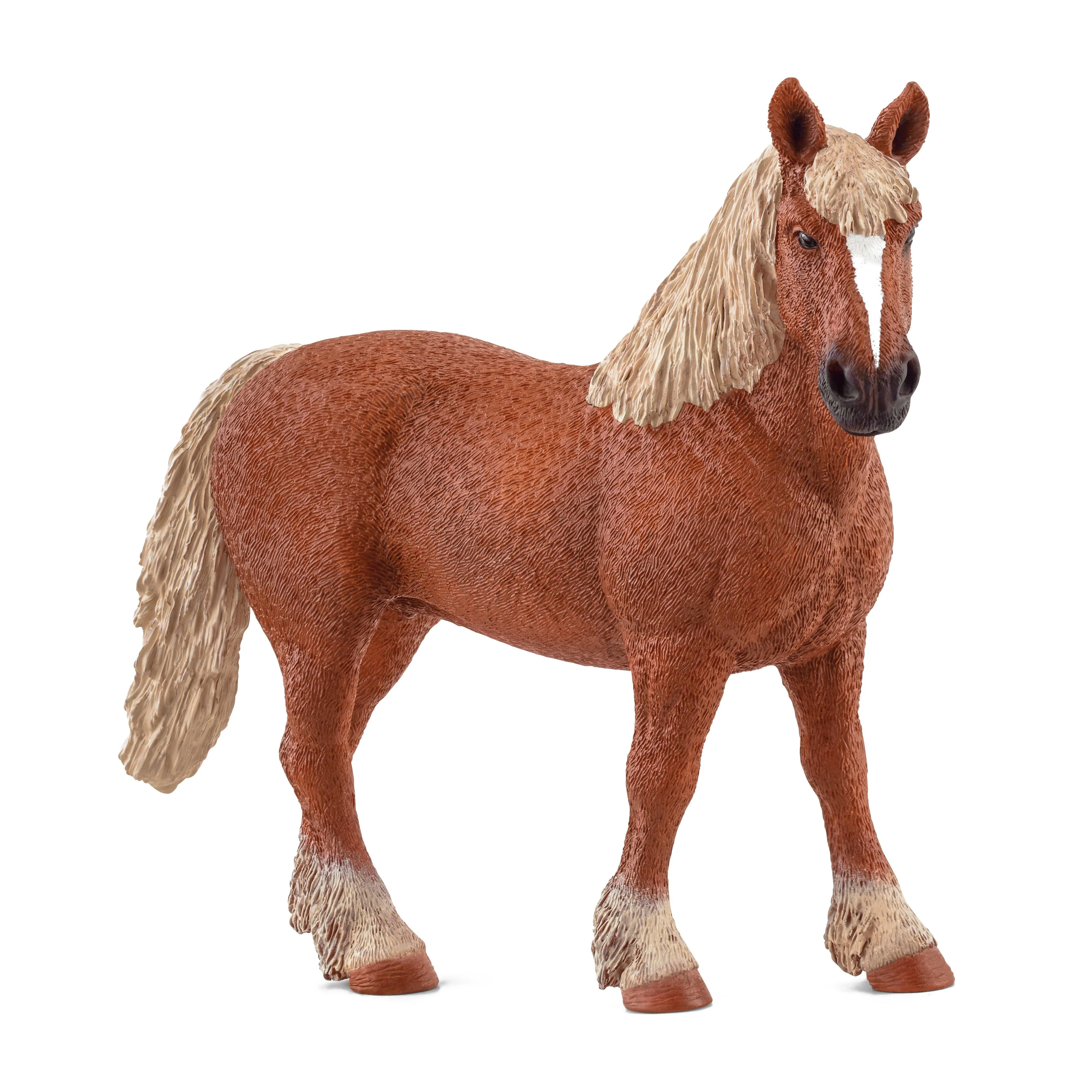 Belgian Draft Horse - Image 2
