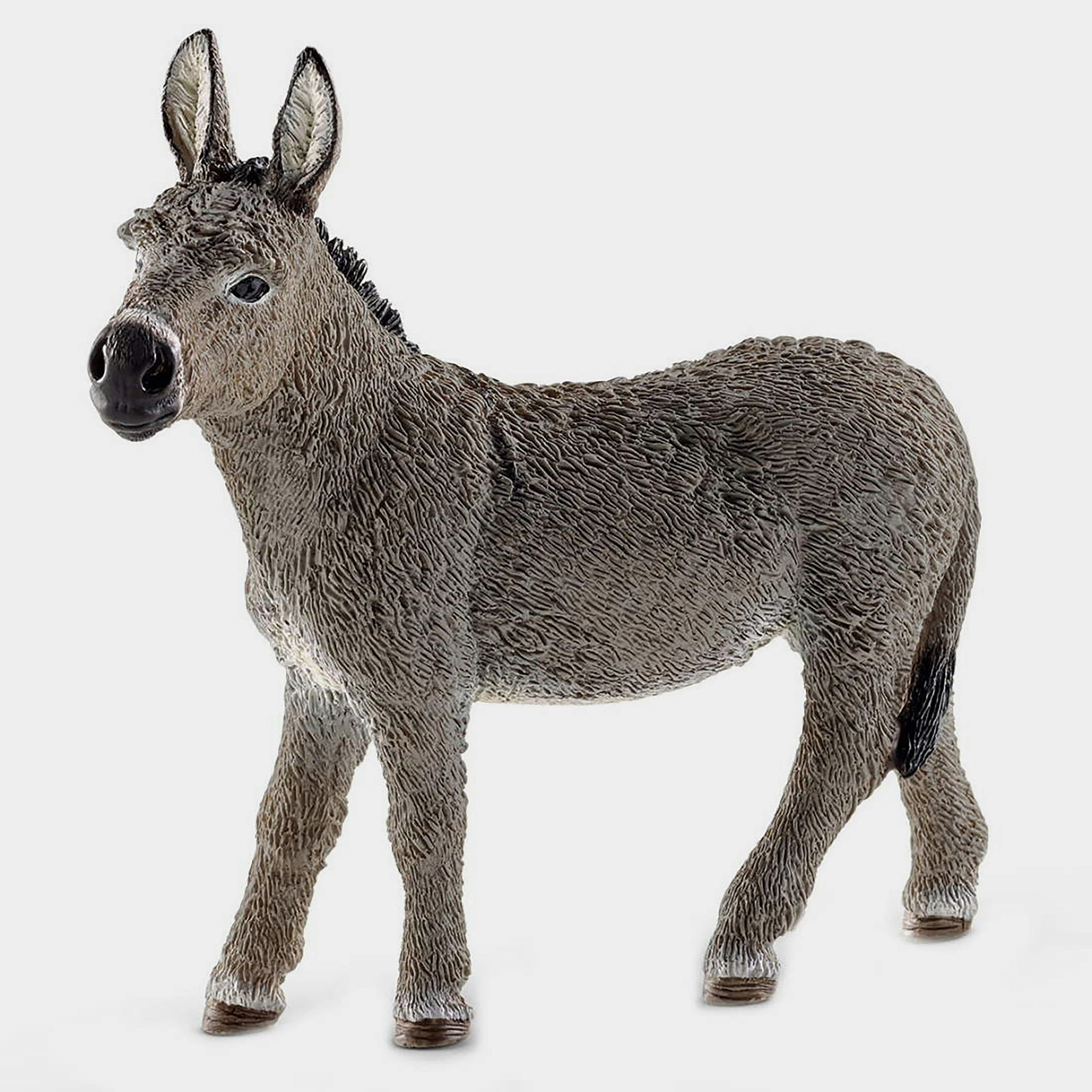 Donkey