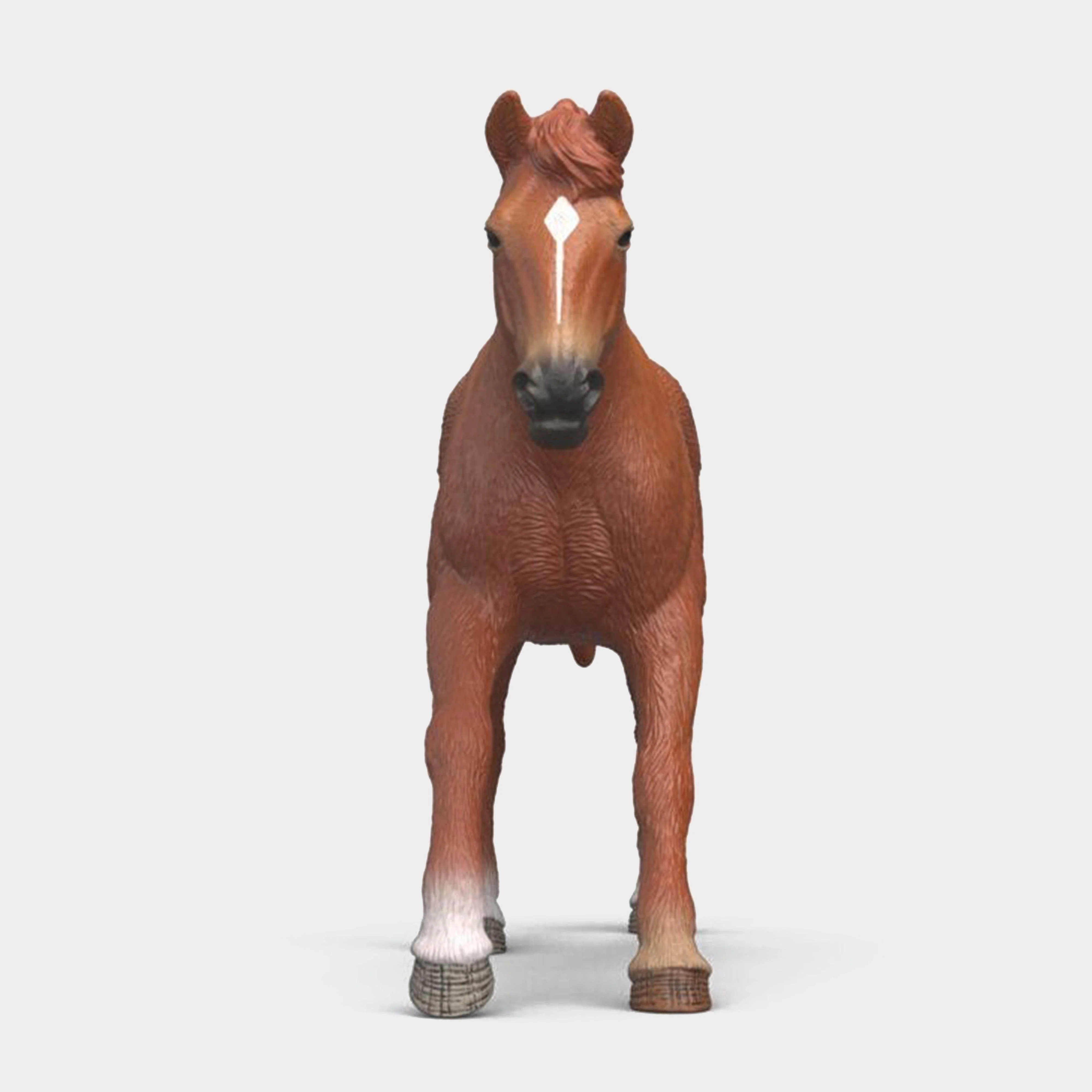 English Thoroughbred Stallion - Image 4