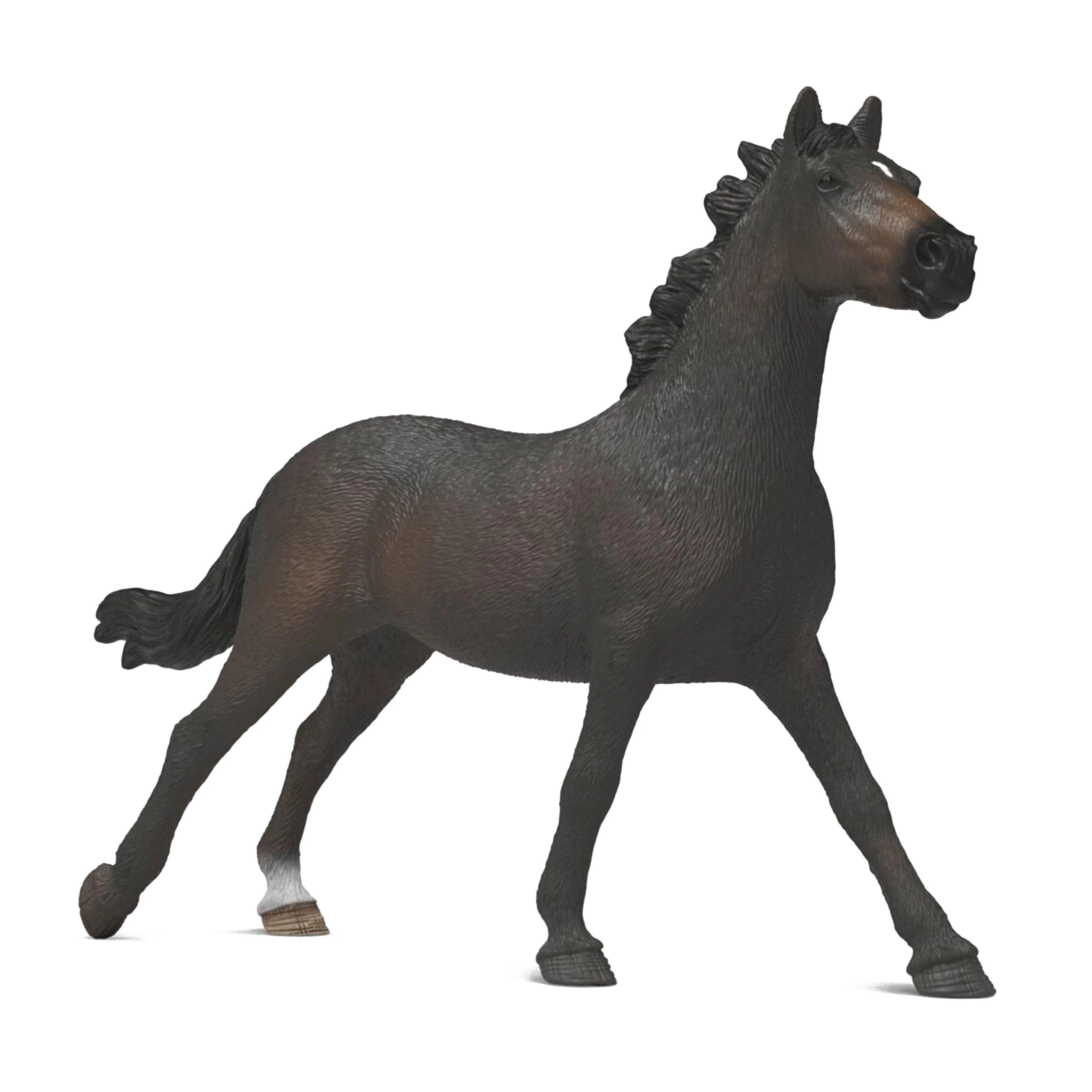 English Thoroughbreds - Image 7