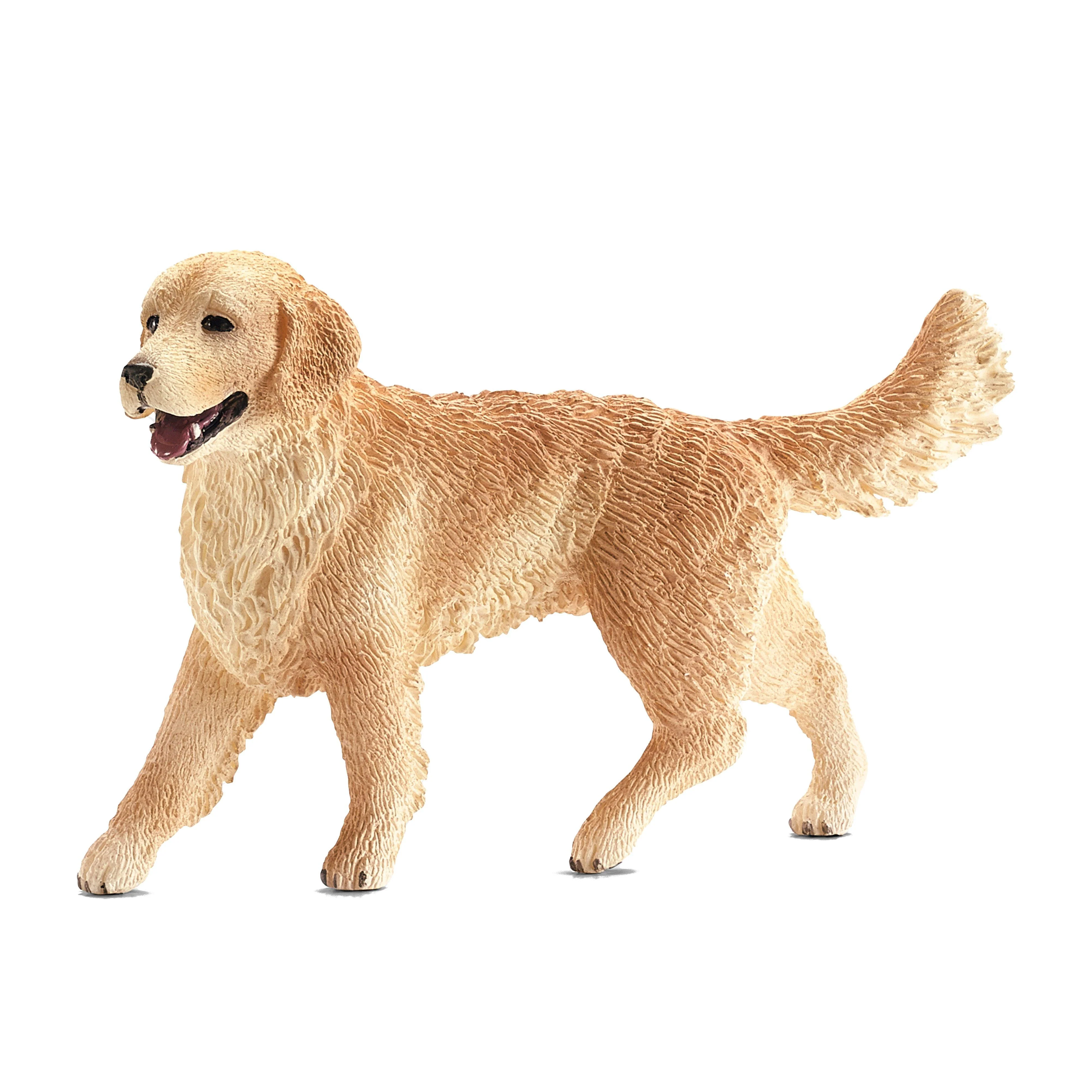 Female Golden Retriever - Image 2