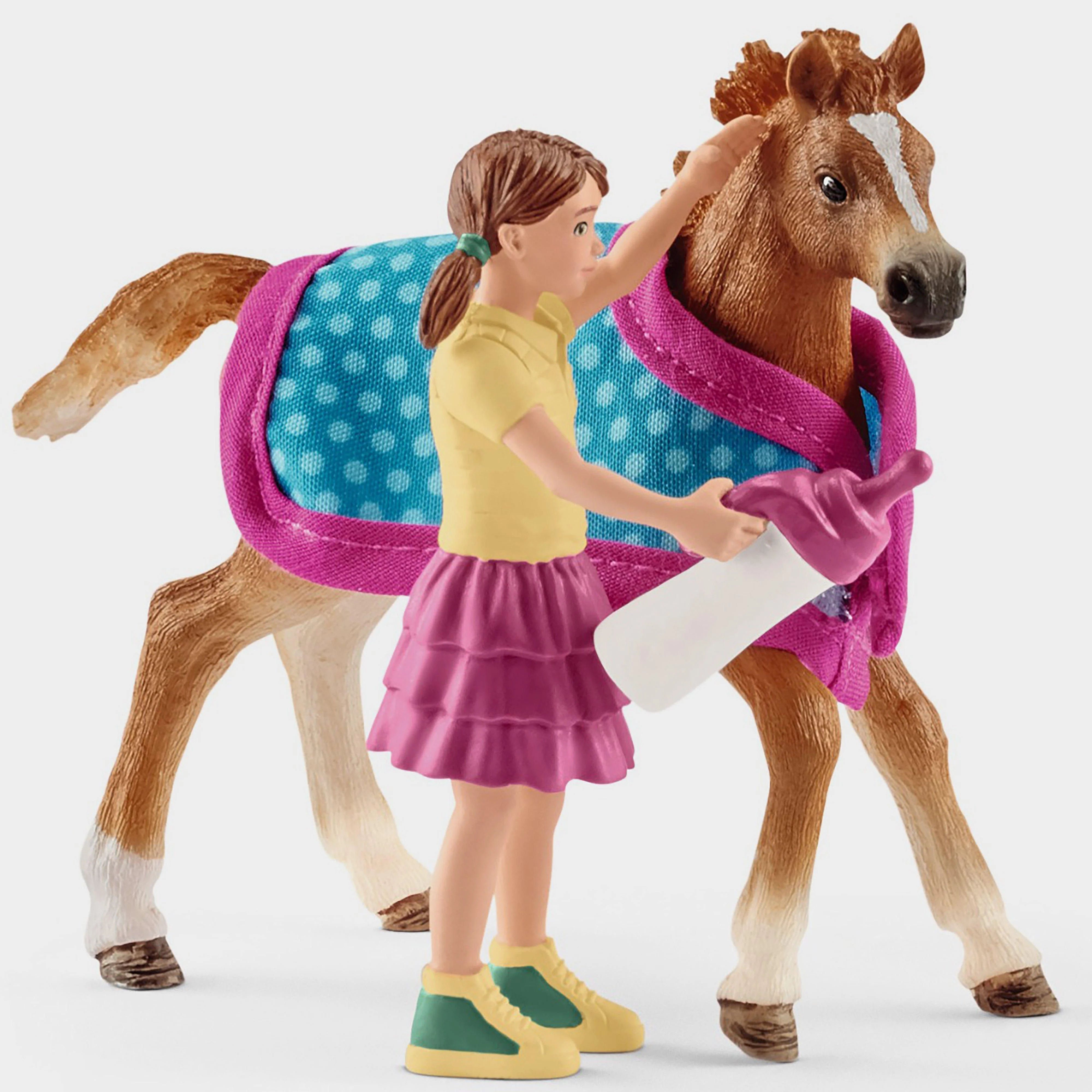 Foal with Blanket