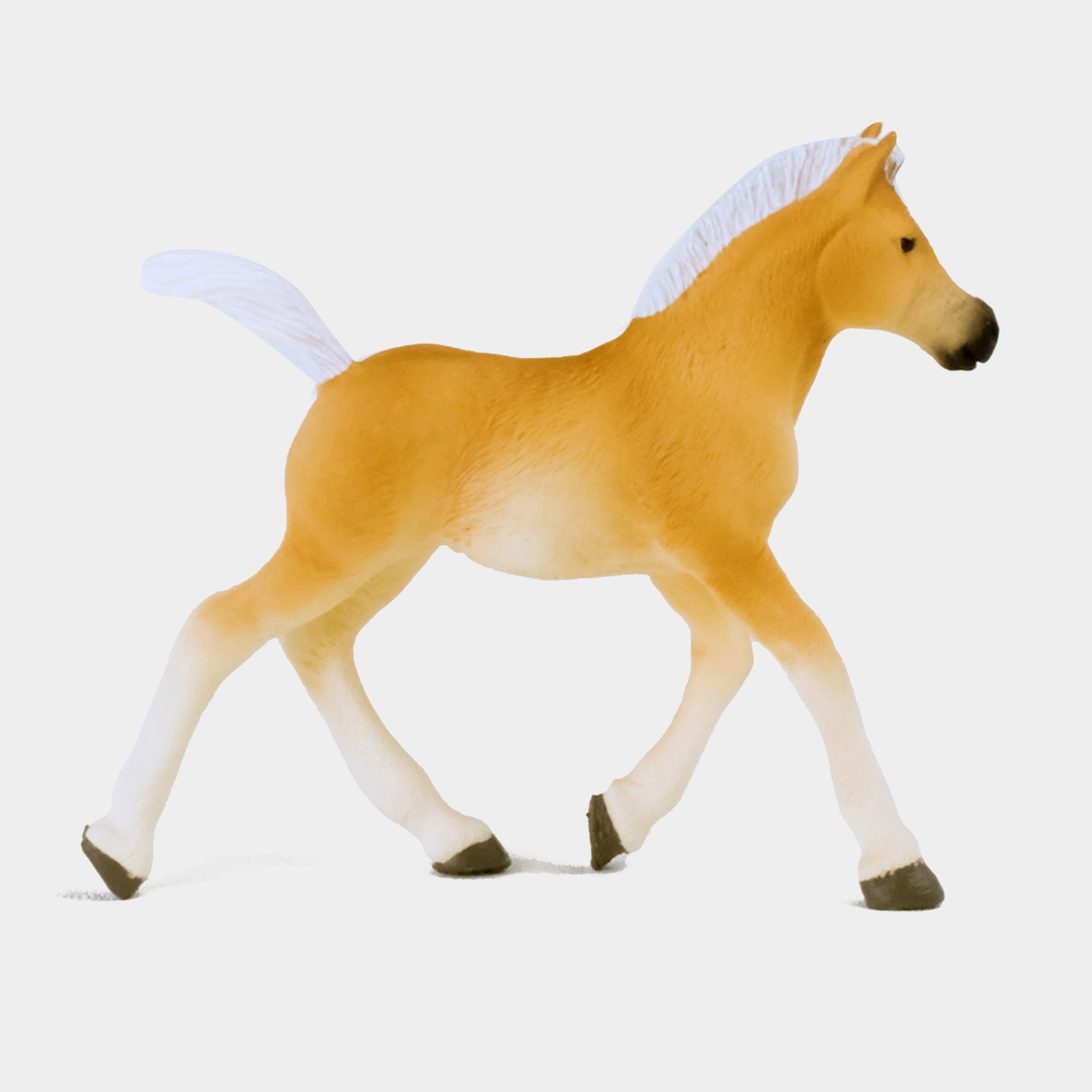 Haflinger Foal - Image 2