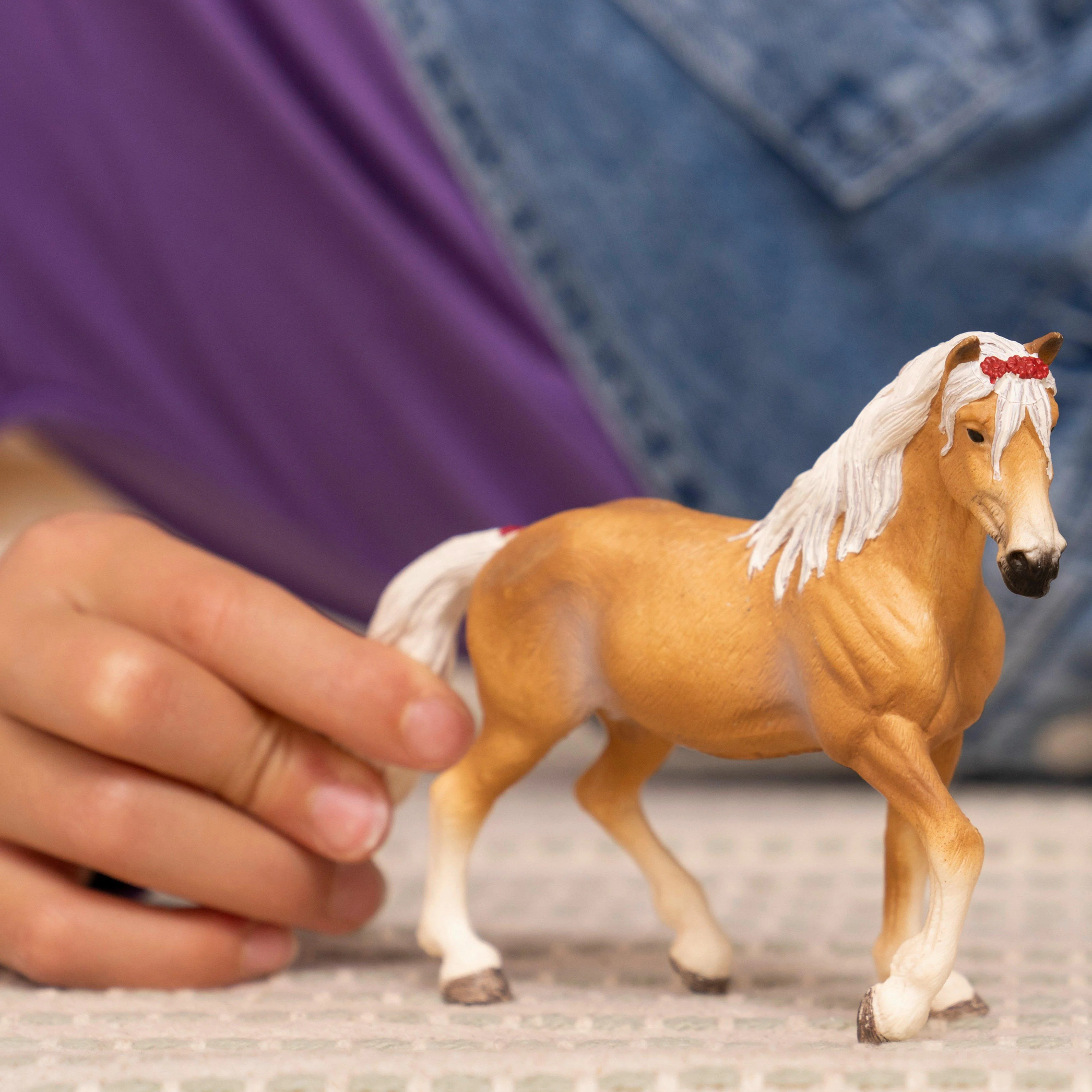 Haflinger Mare - Image 5
