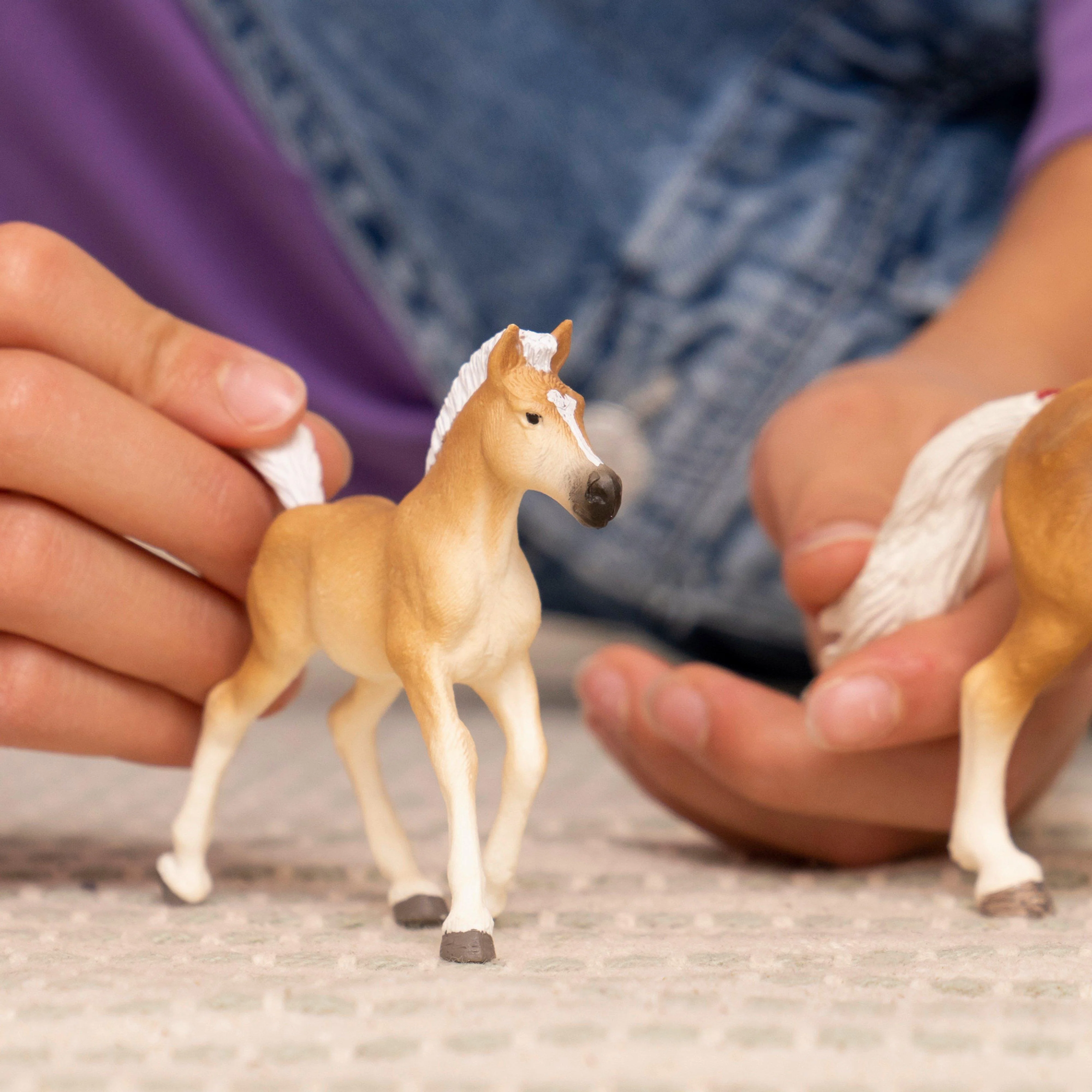 Haflinger Mare - Image 6
