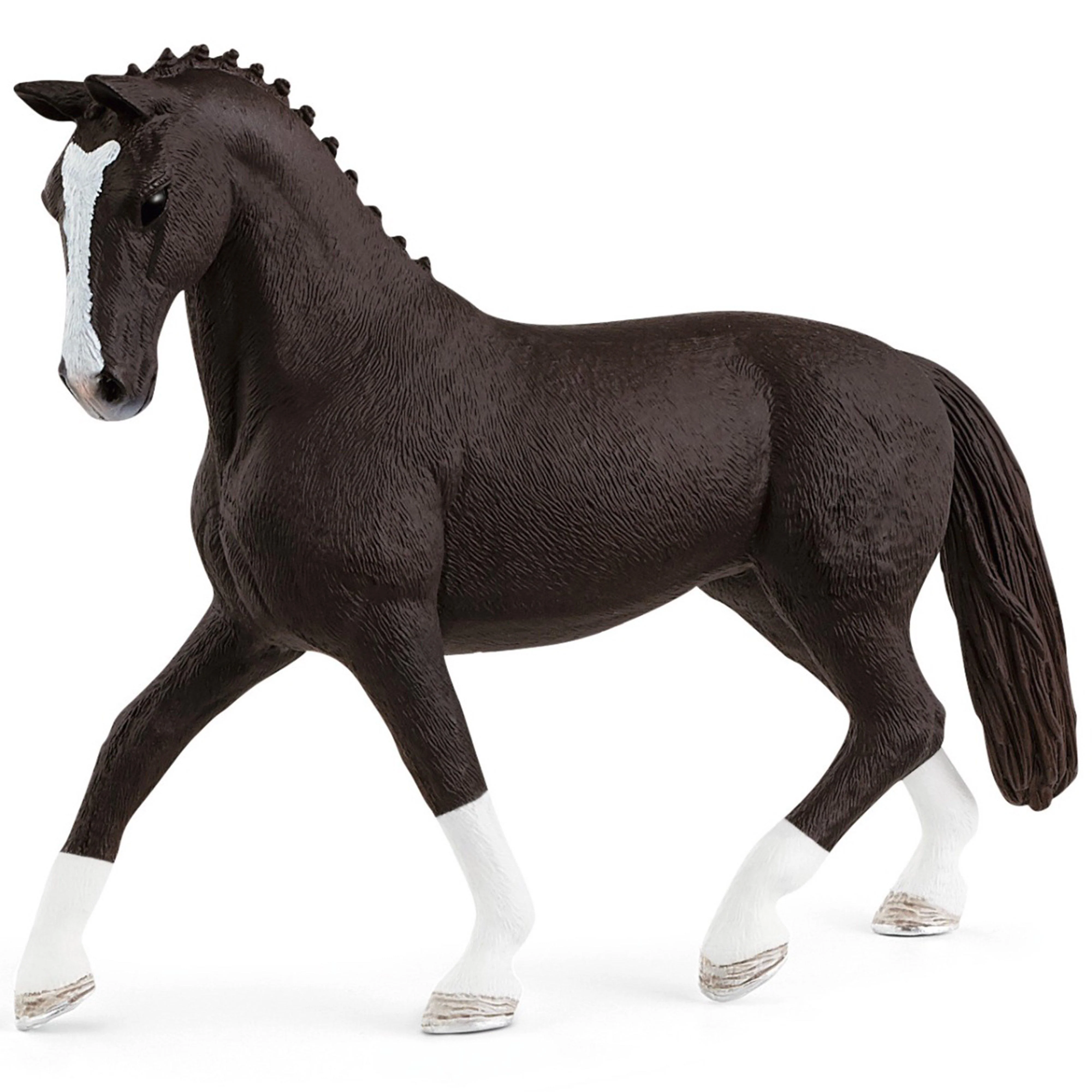 Hannoverian Mare 2021 - Image 2