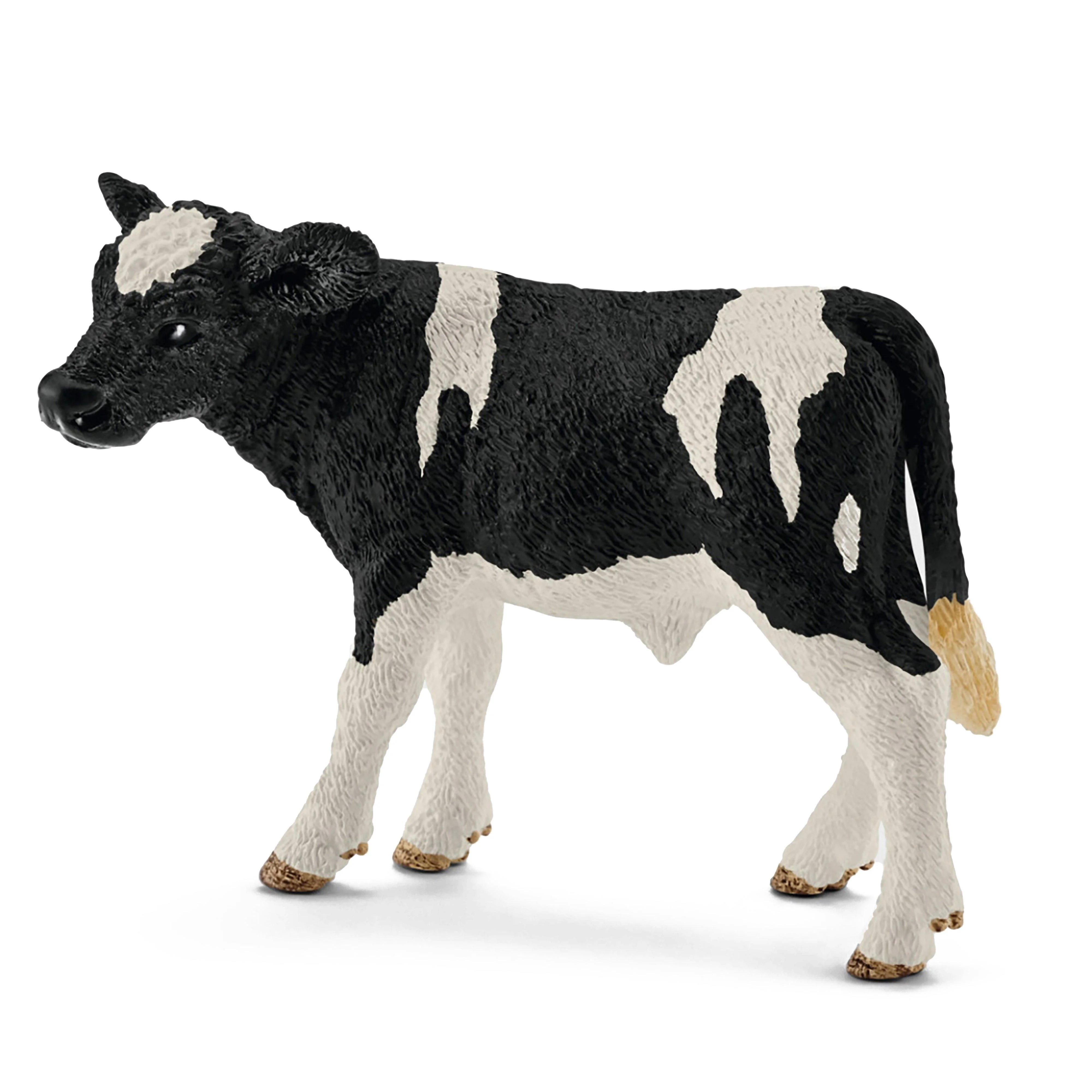 Holstein Calf - Image 2