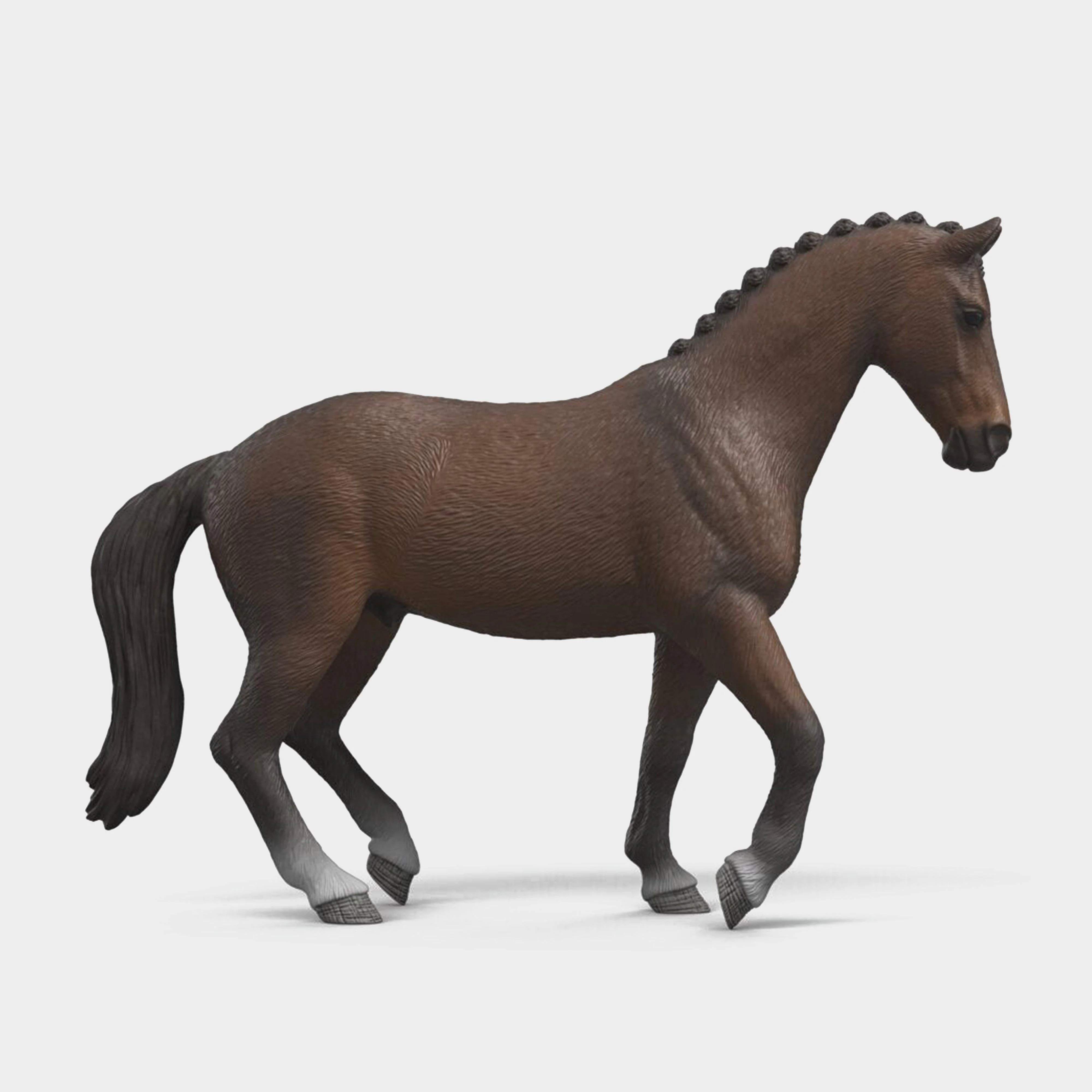 KWPN Gelding - Image 3