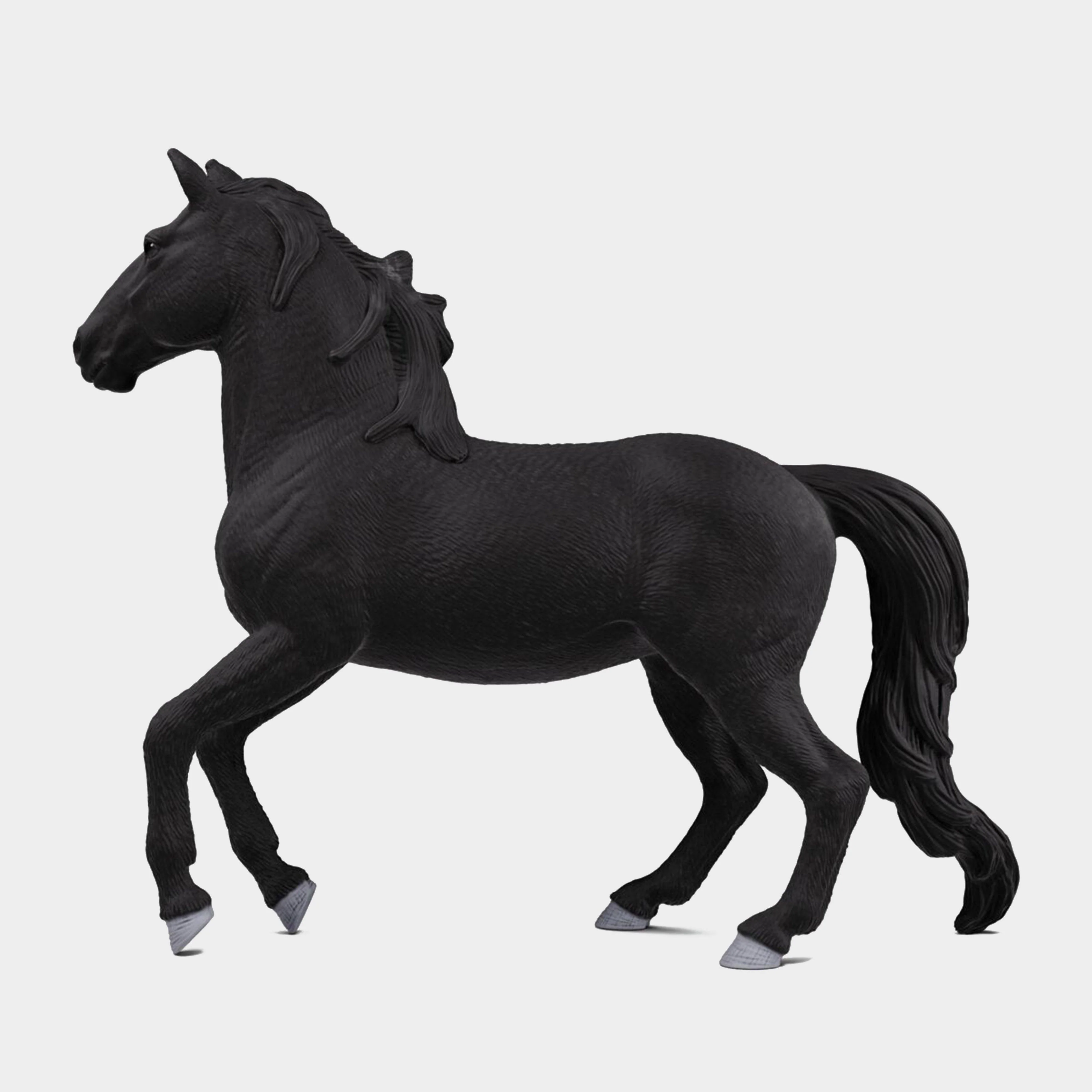 Lusitano Stallion - Image 6
