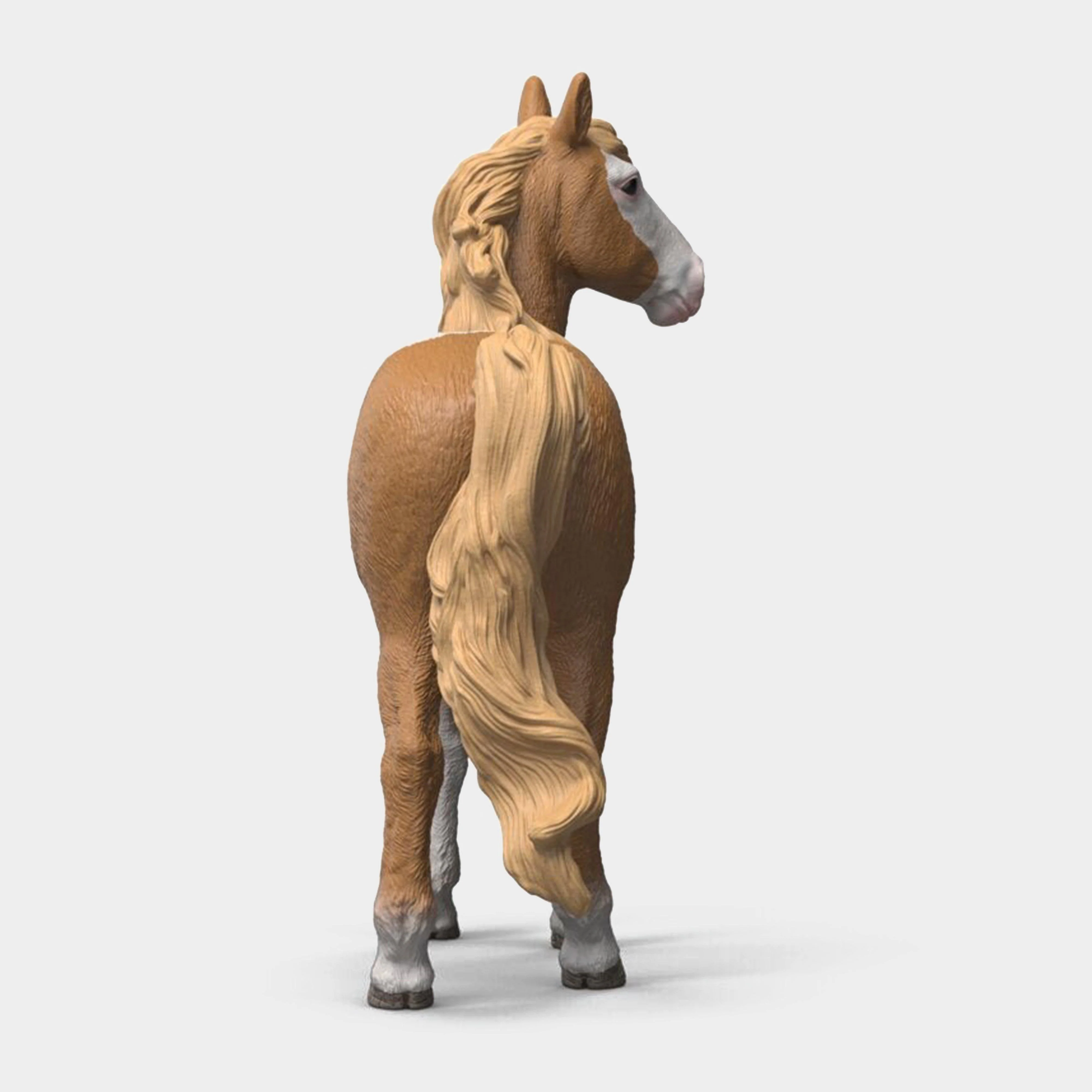 Mustang Mare - Image 5