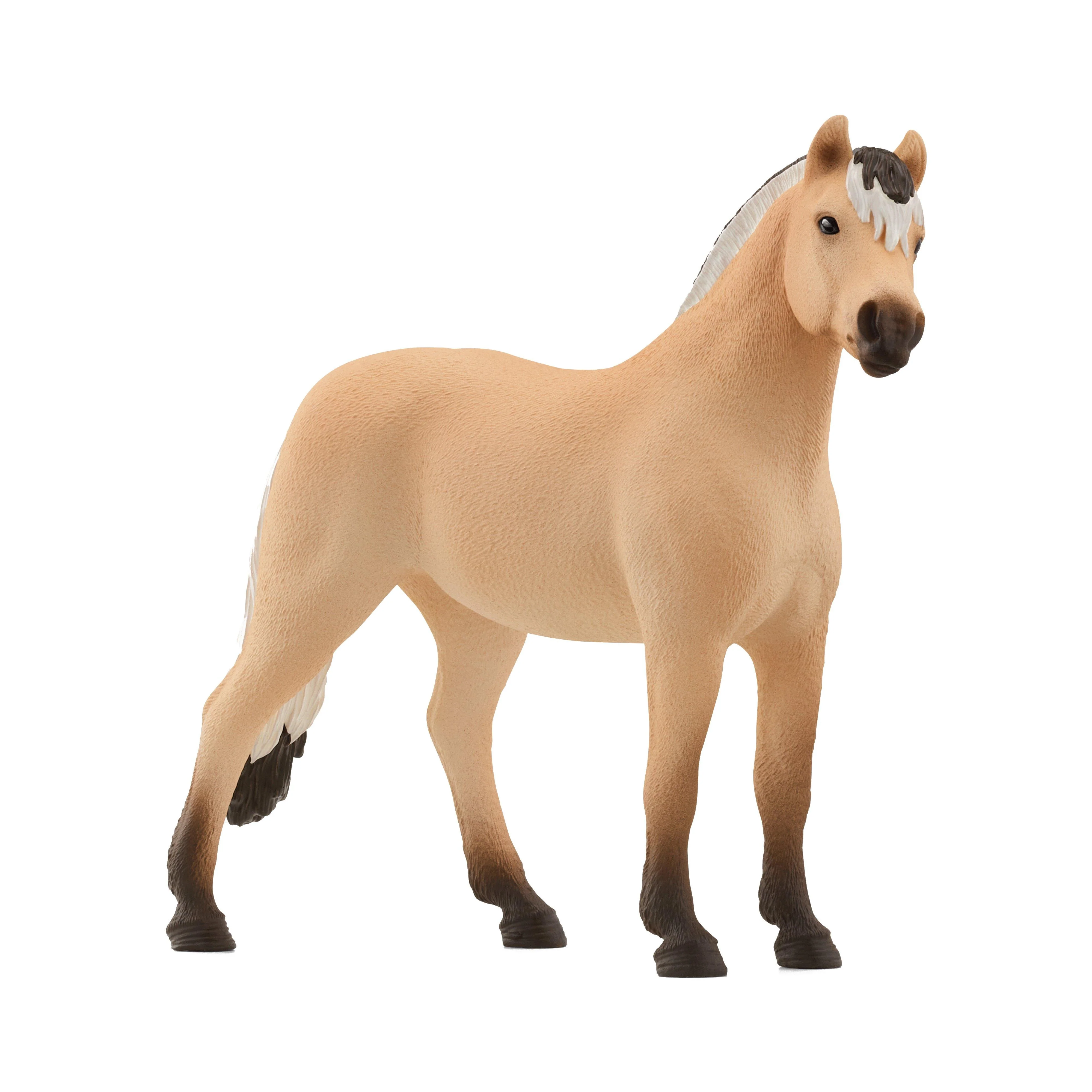 Norwegian Fjord Horse Gelding - Image 4