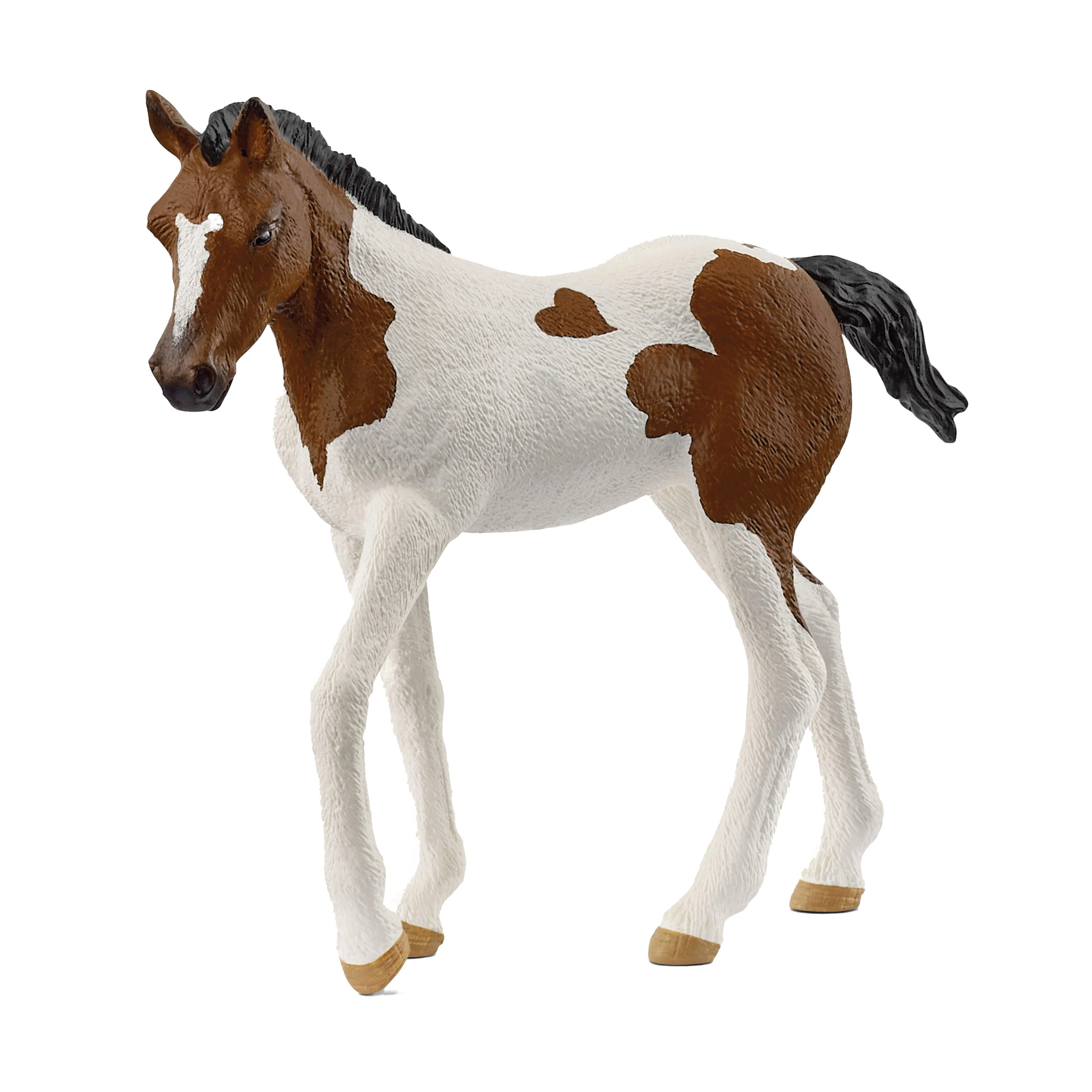 Paint Horse Foal - Image 3