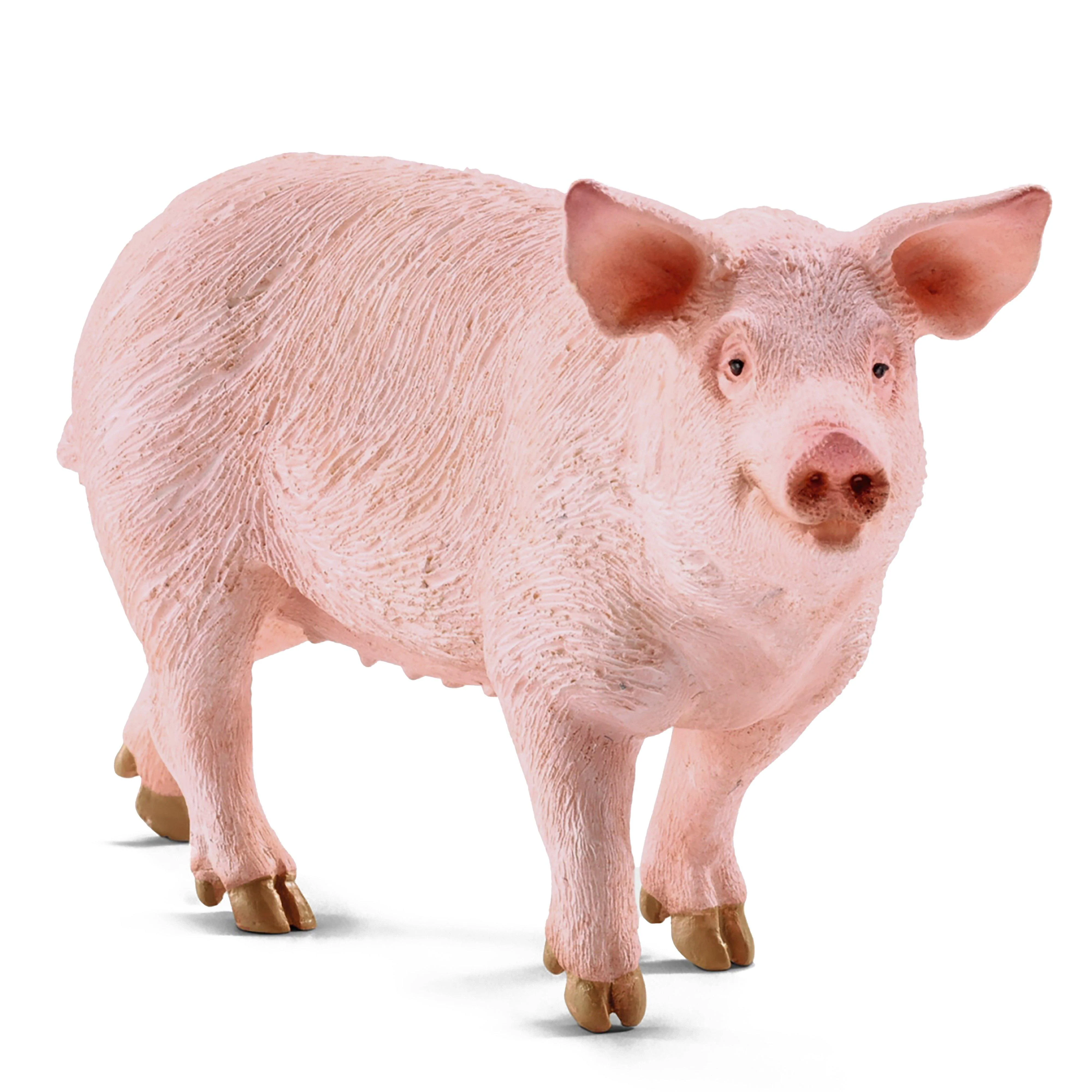 Pig - Image 2