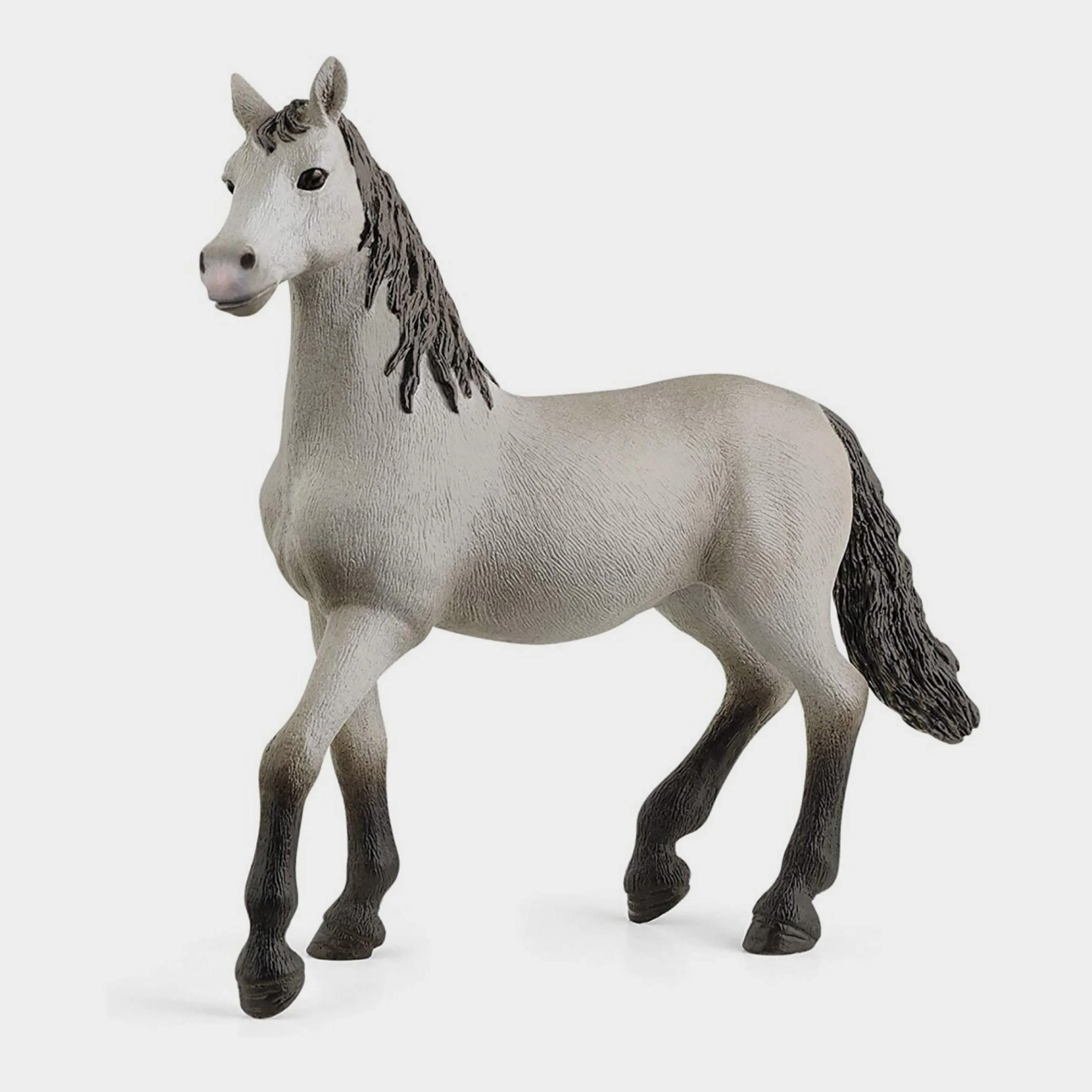 Pura Raza Española Yearling
