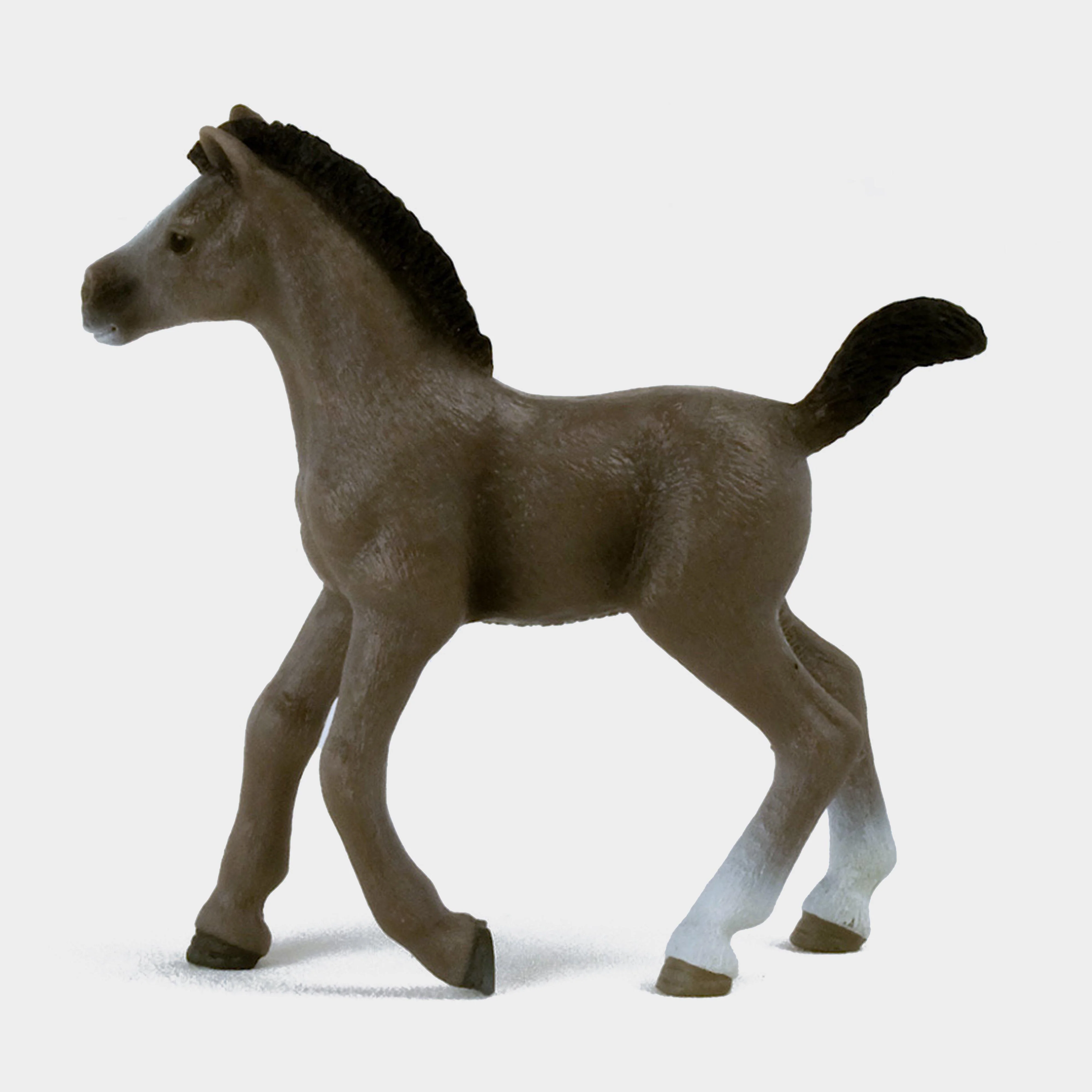 Selle Français Foal - Image 2
