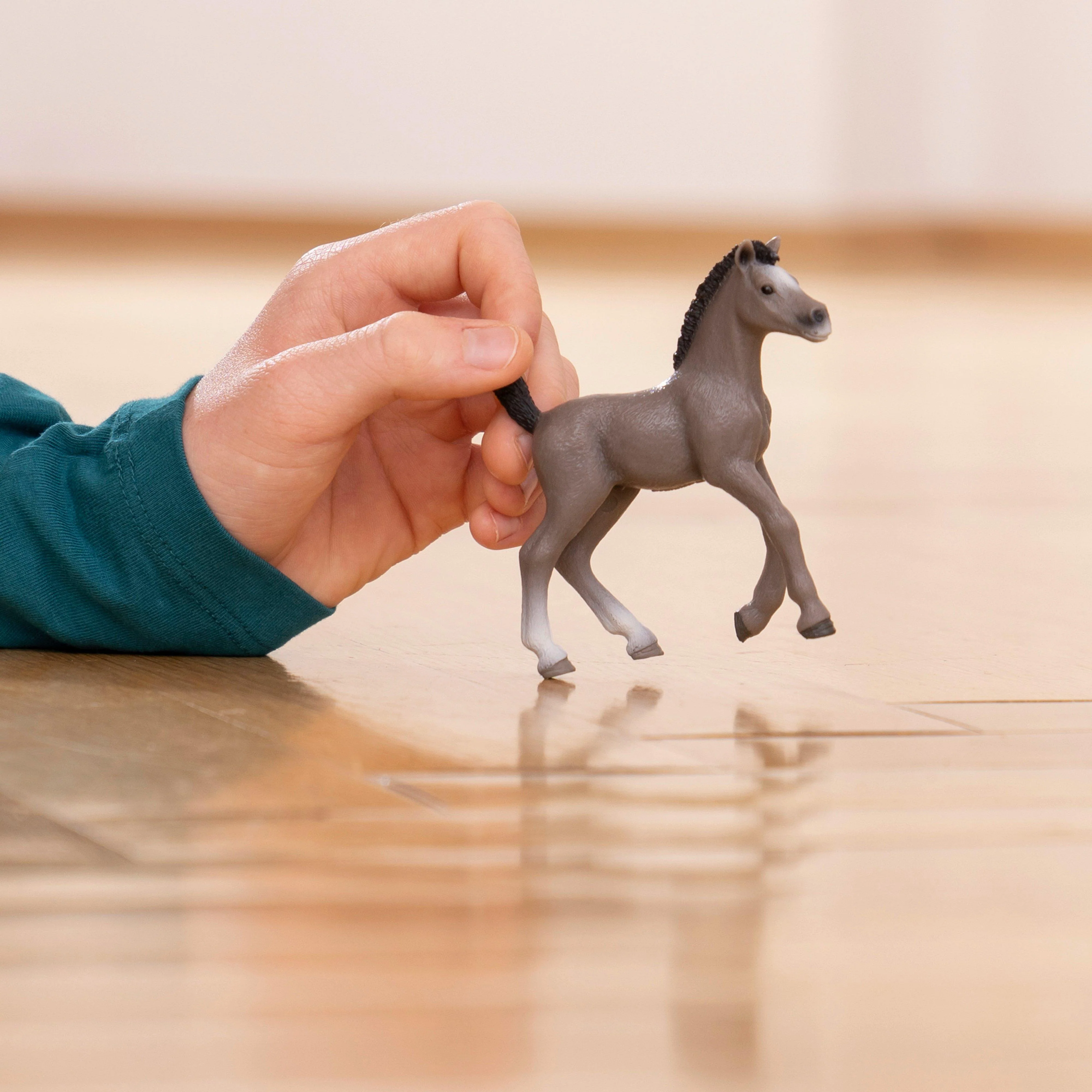 Selle Français Foal - Image 4