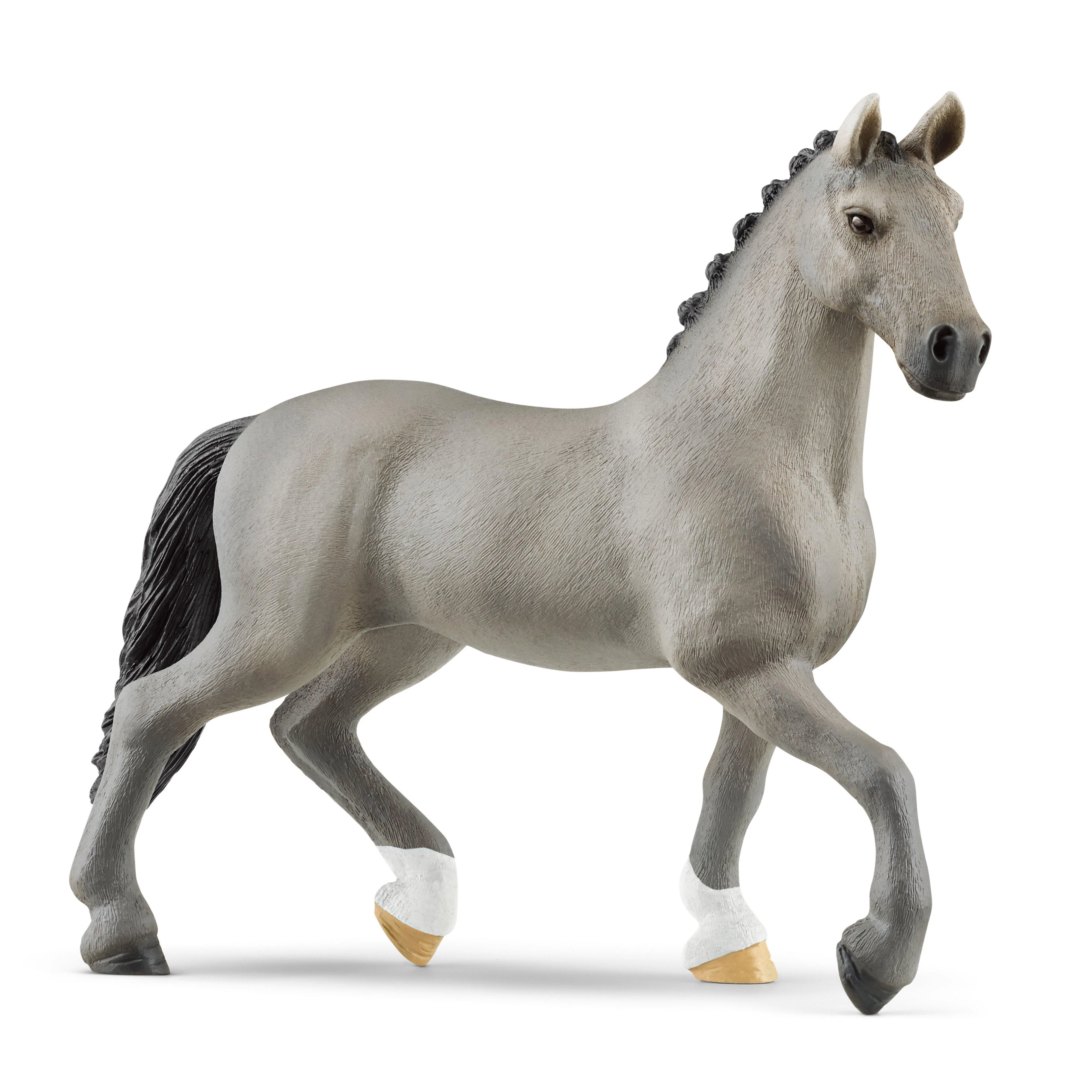 Selle Français Stallion - Image 5