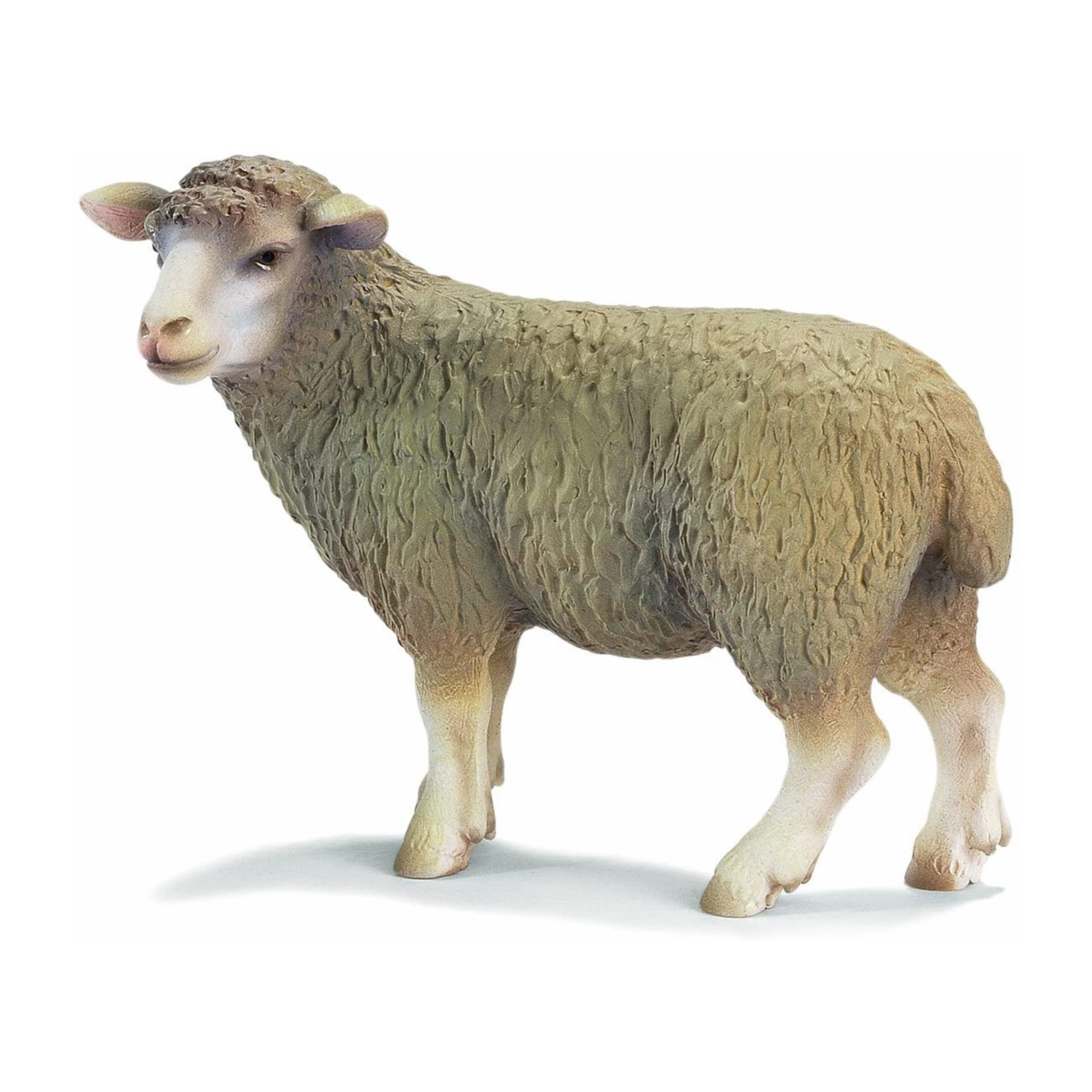 Sheep - Image 2