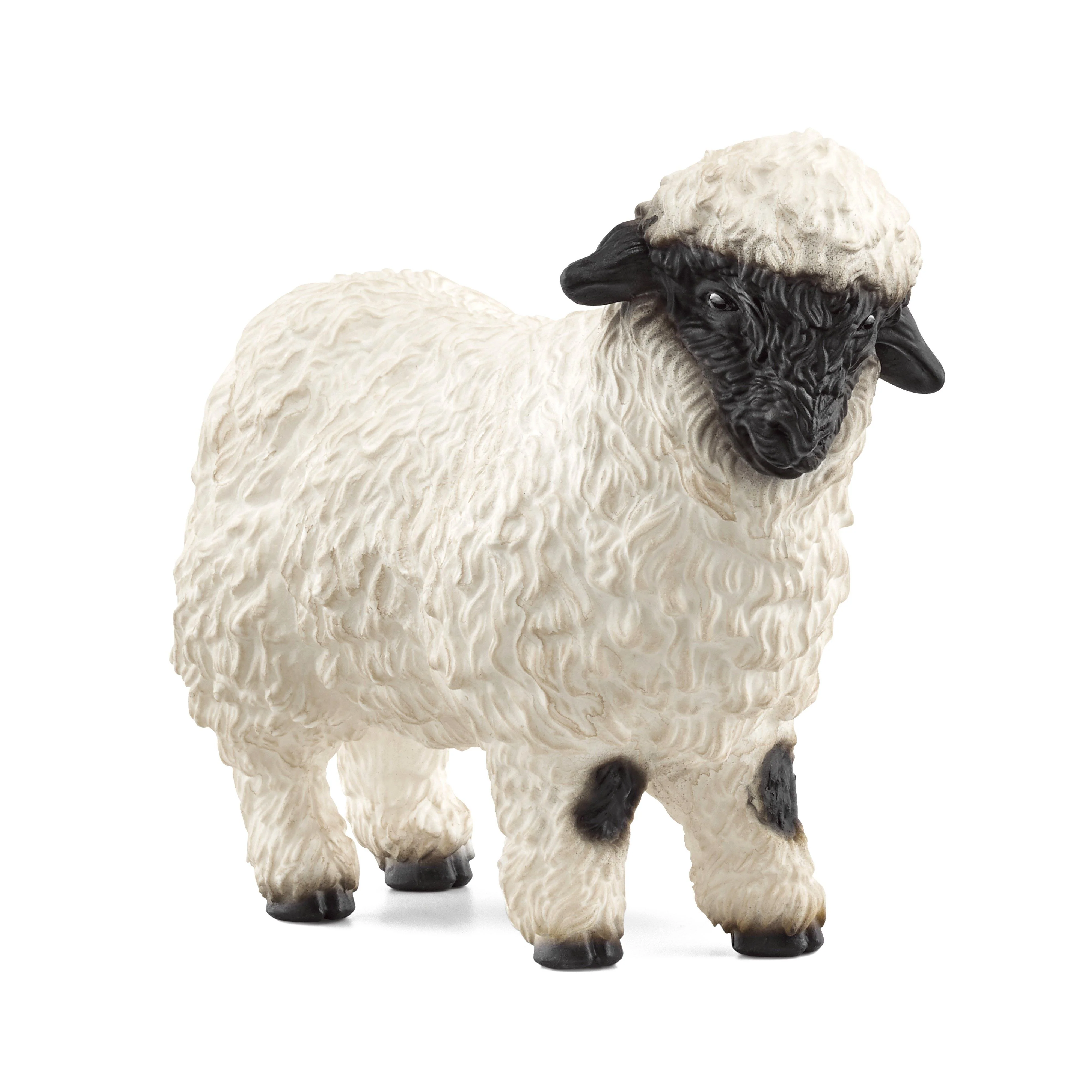 Valais Blacknose Sheep - Image 2
