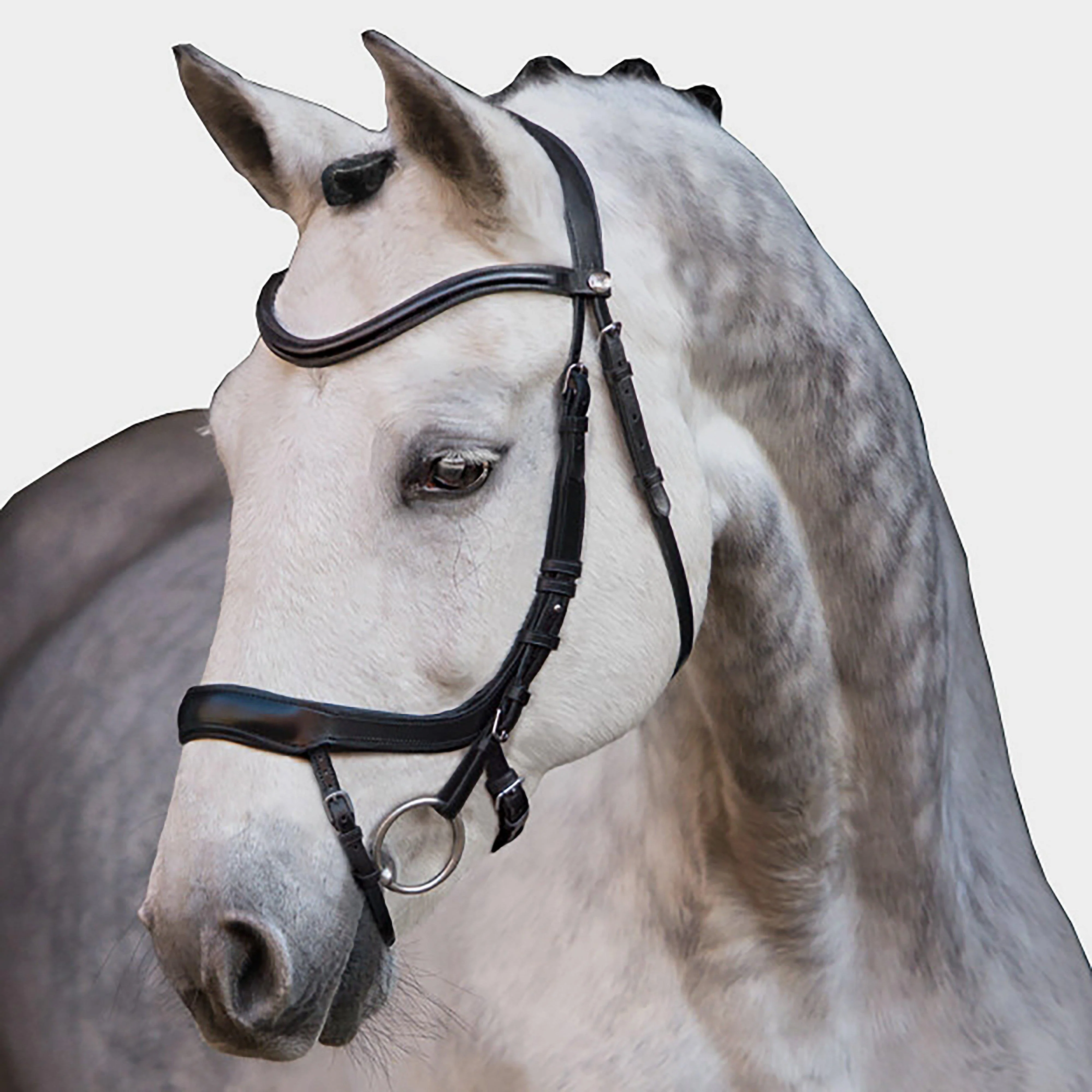 Equitus Alpha Bridle Black