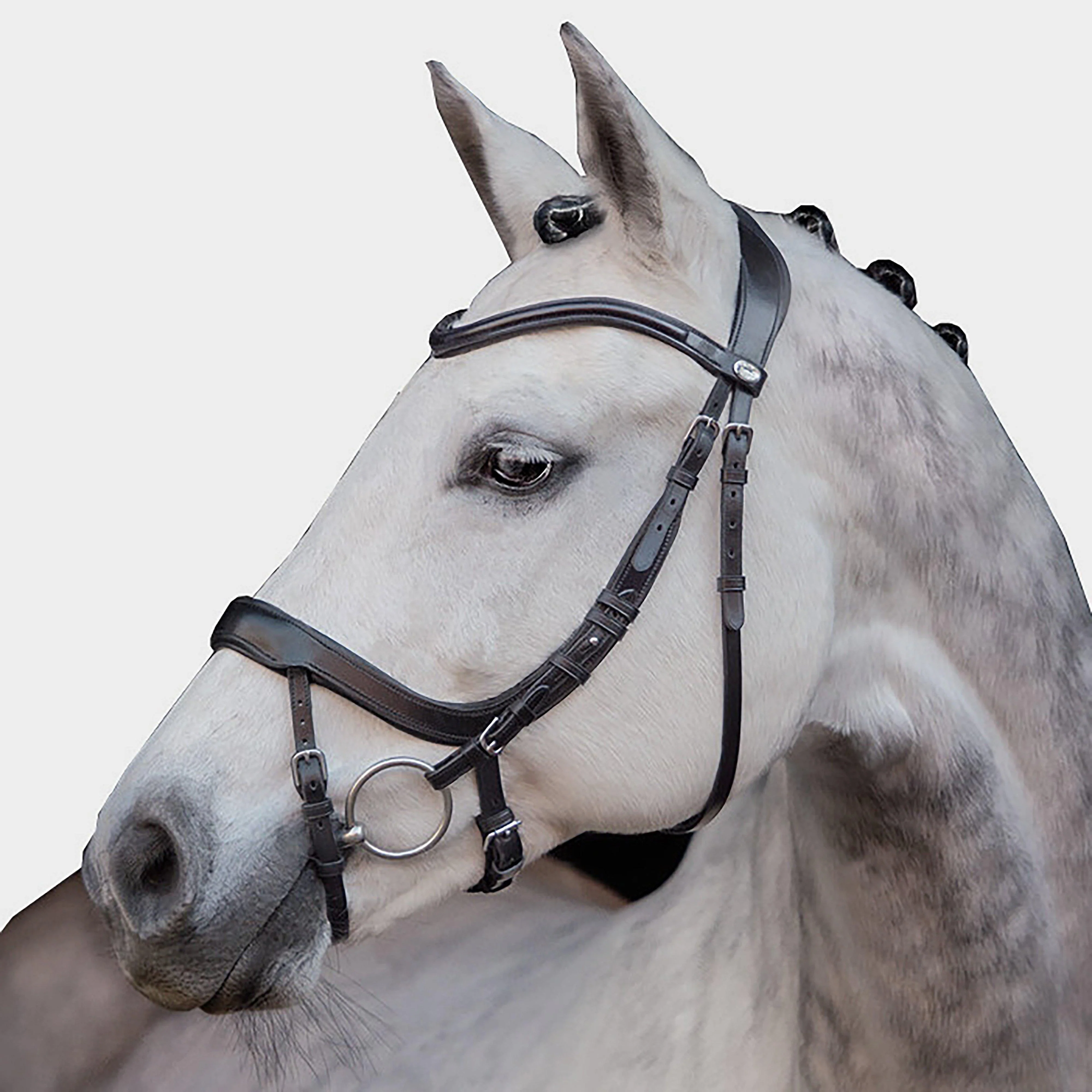 Equitus Alpha Bridle Black - Image 2