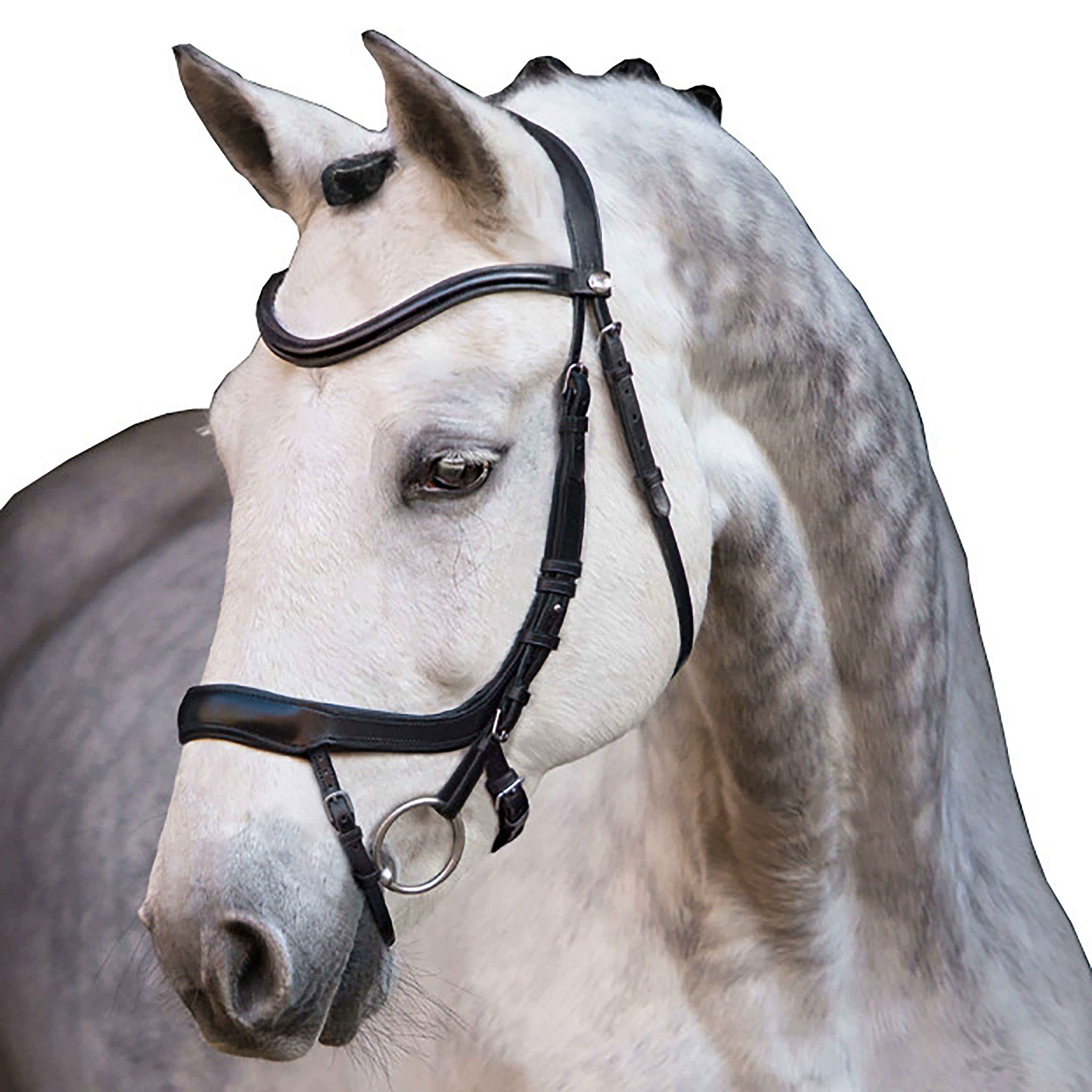 Equitus Alpha Bridle Black - Image 4