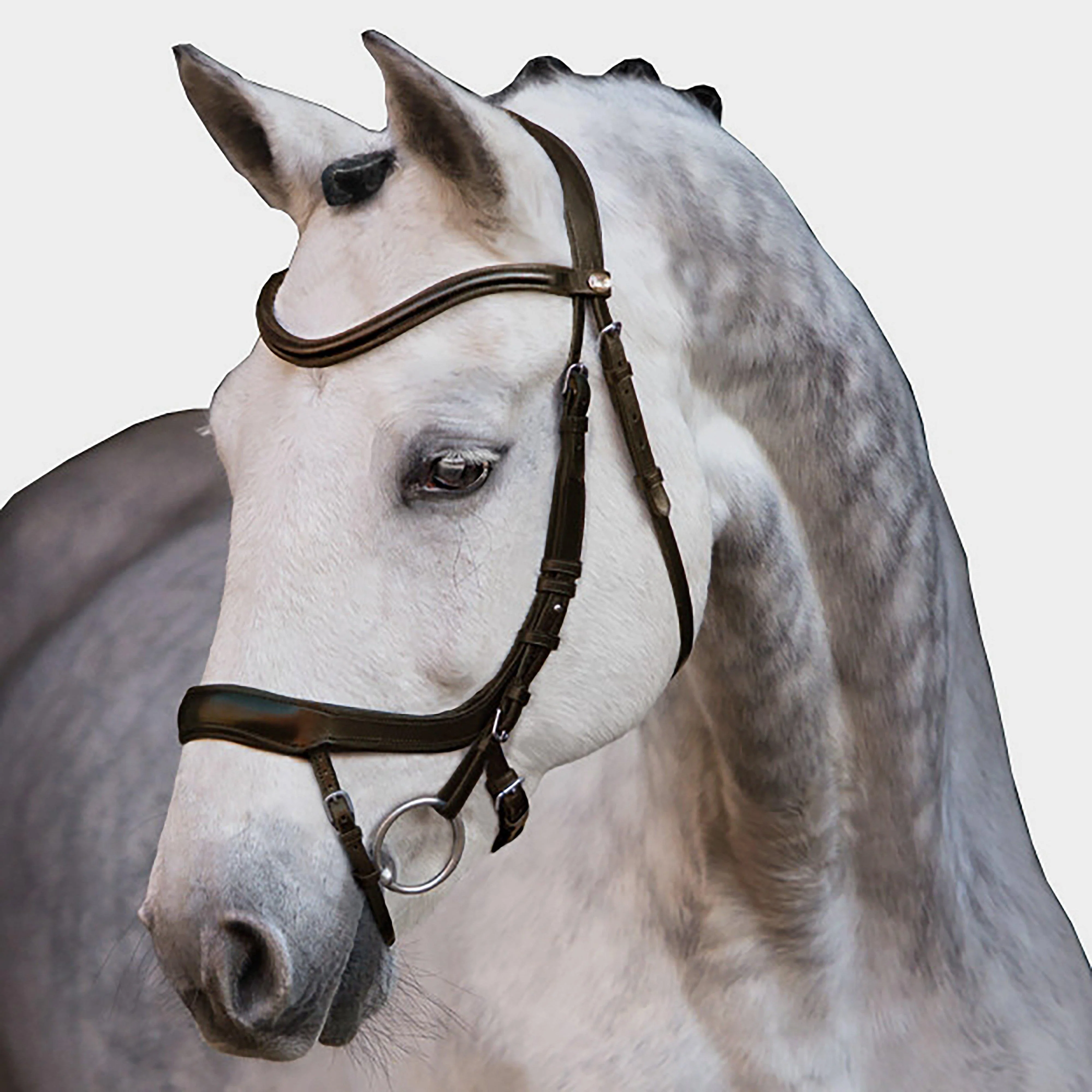 Equitus Alpha Bridle Espresso