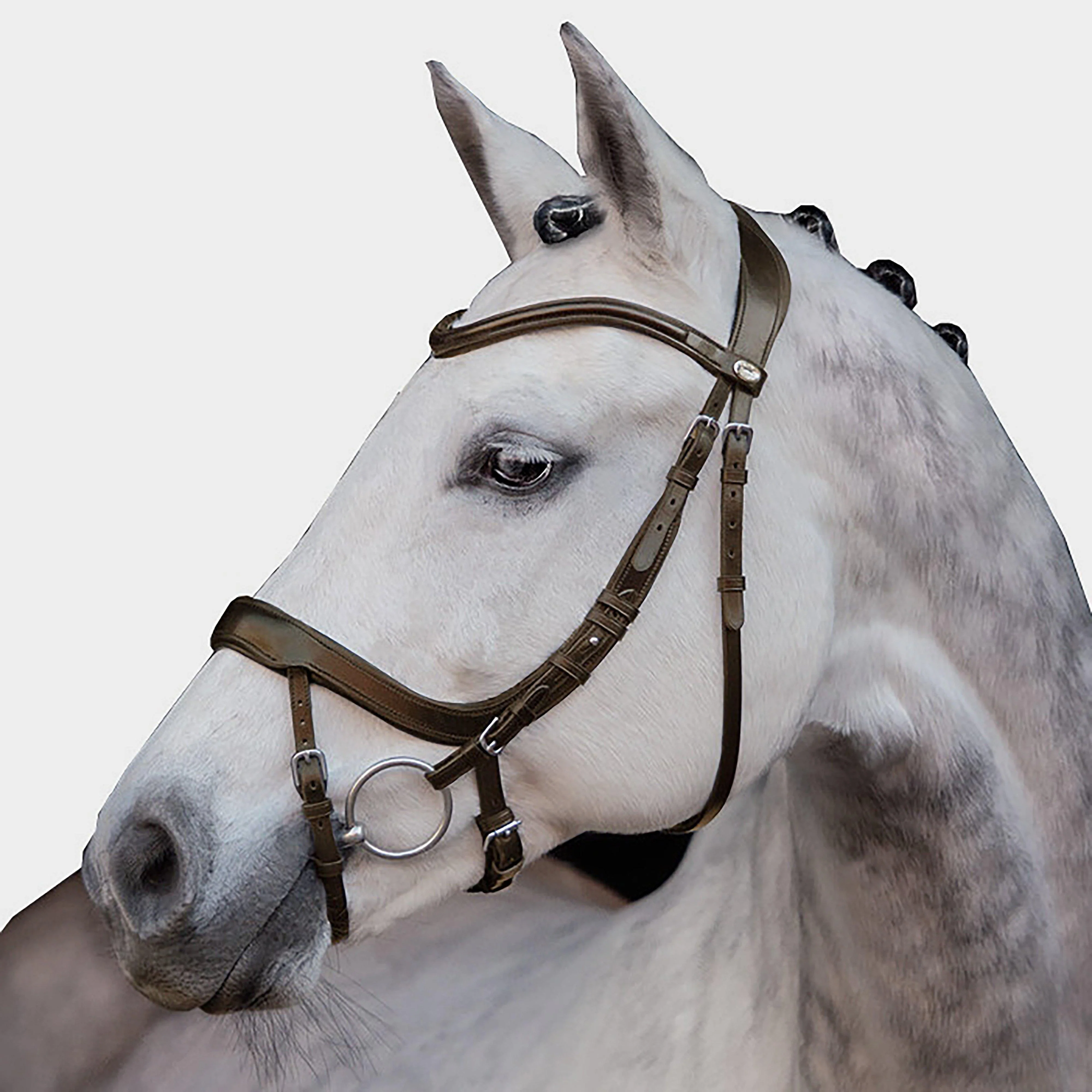 Equitus Alpha Bridle Espresso - Image 2