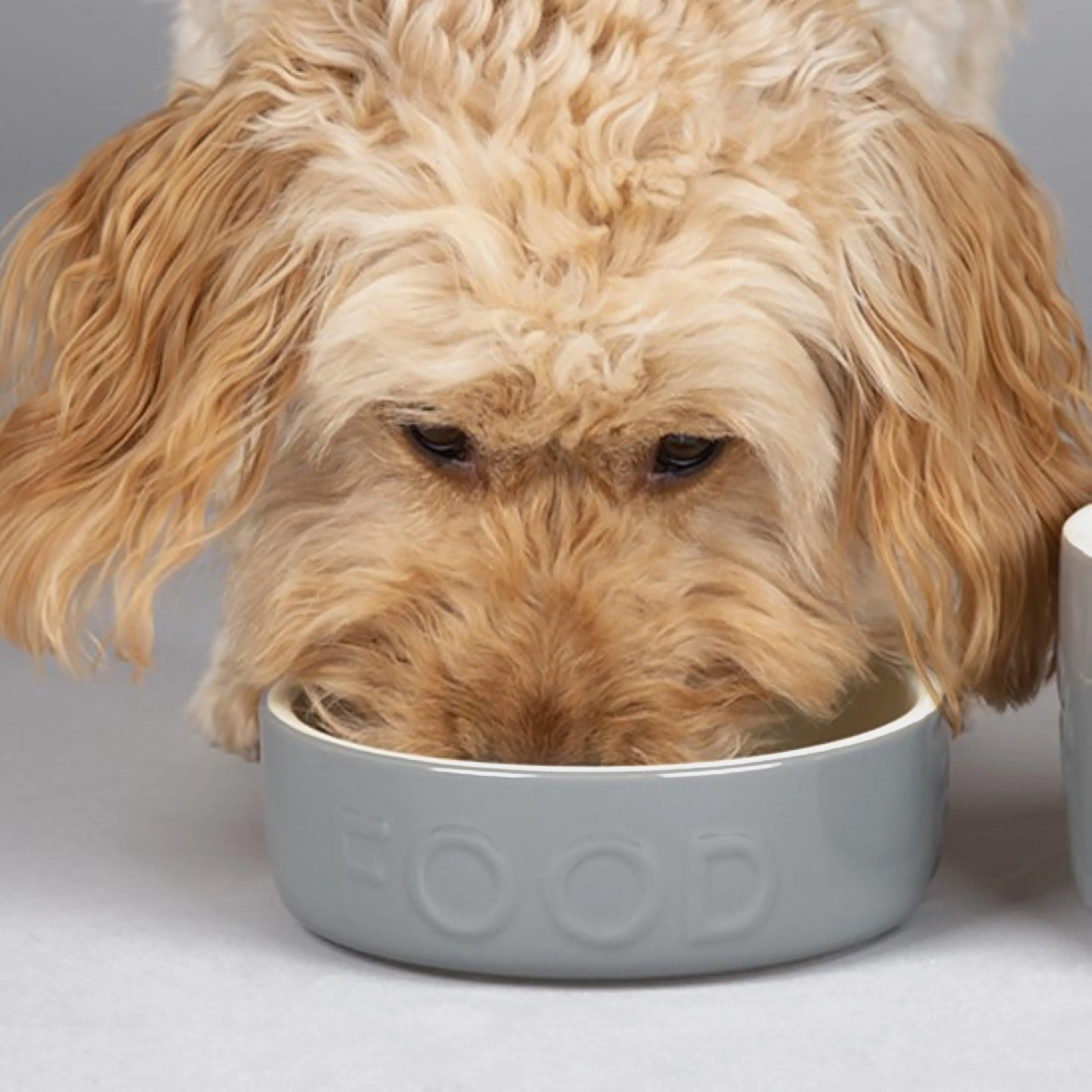 Classic Food Bowl Grey 15cm - Image 2