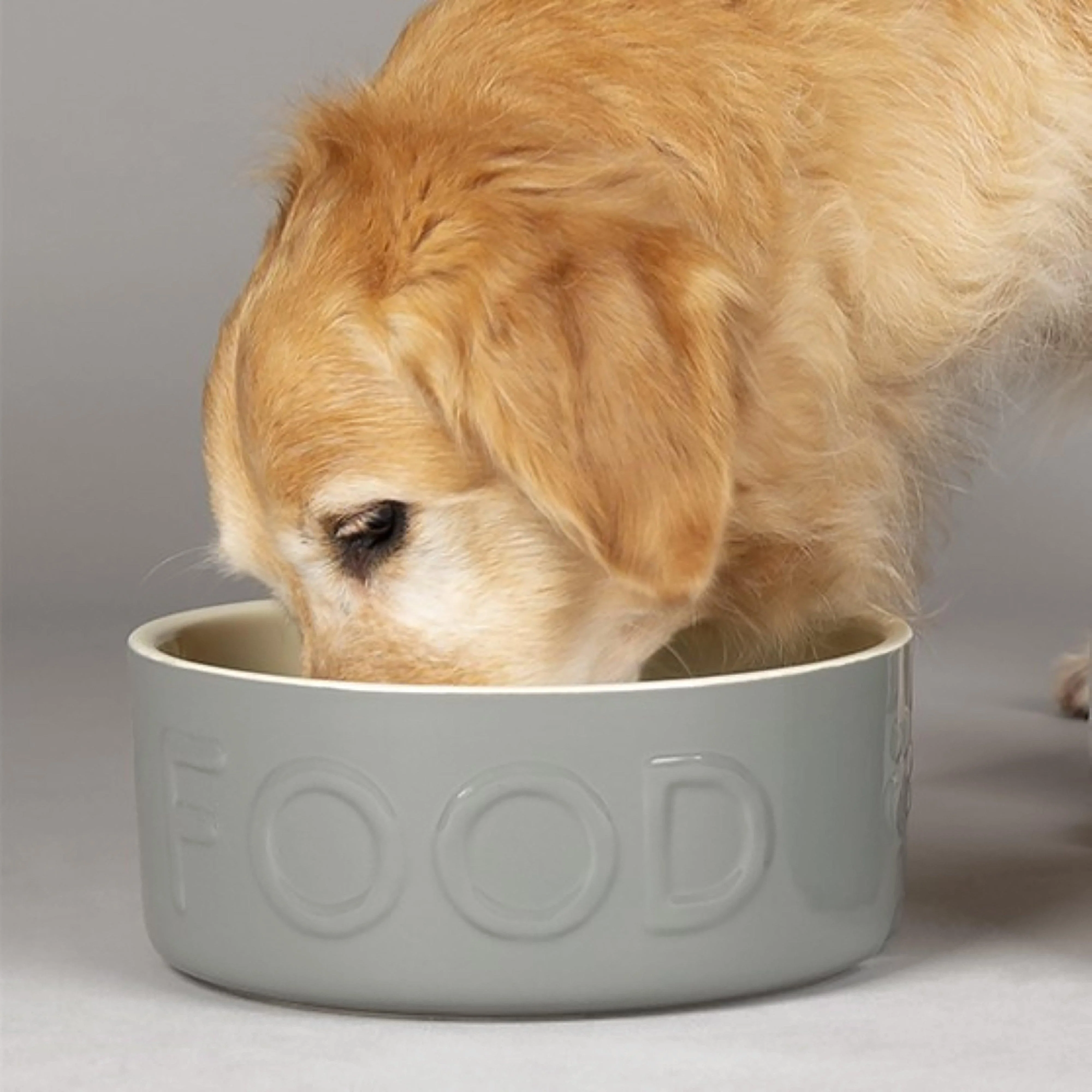 Classic Food Bowl Grey 25cm - Image 2