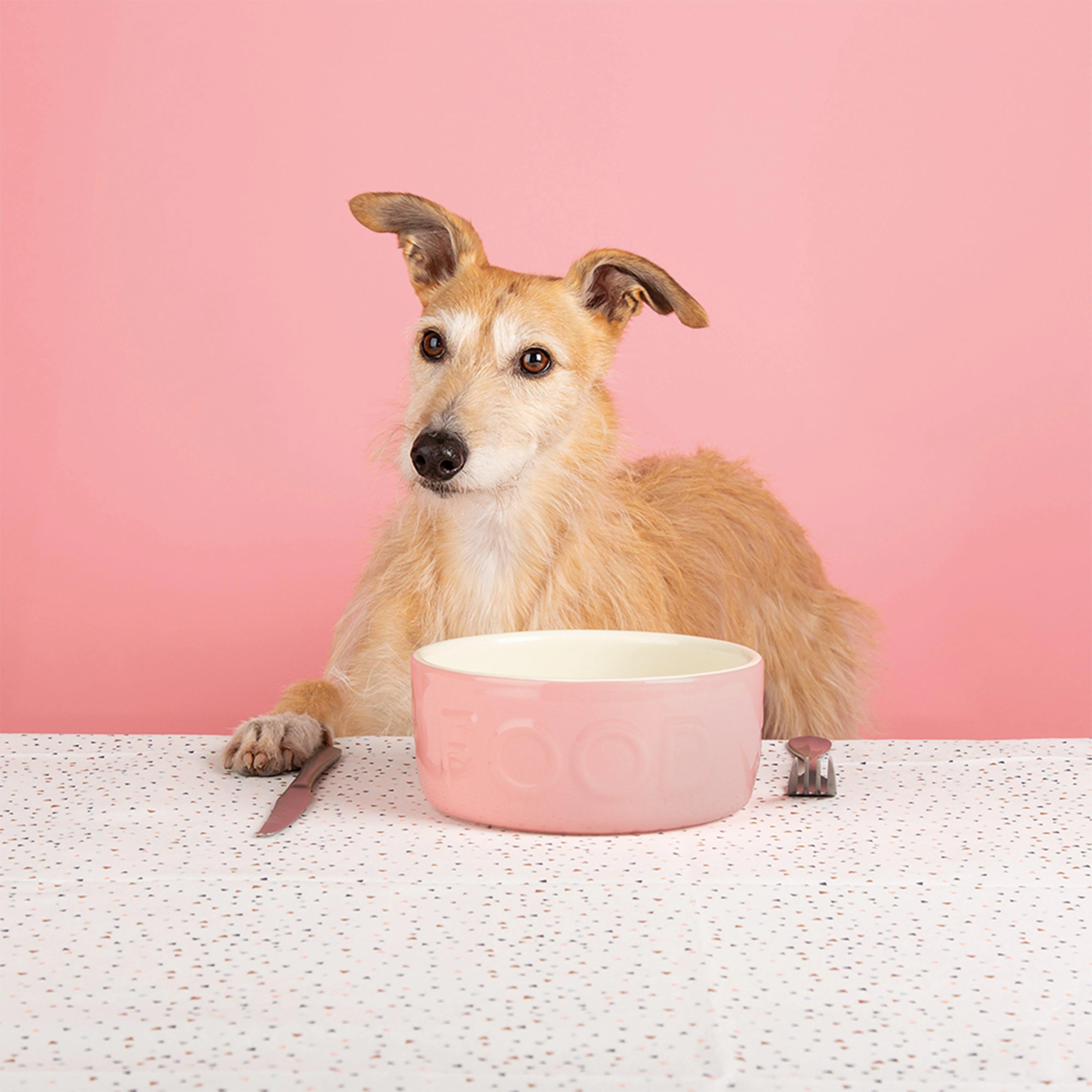 Classic Food Bowl Pink 15cm - Image 3