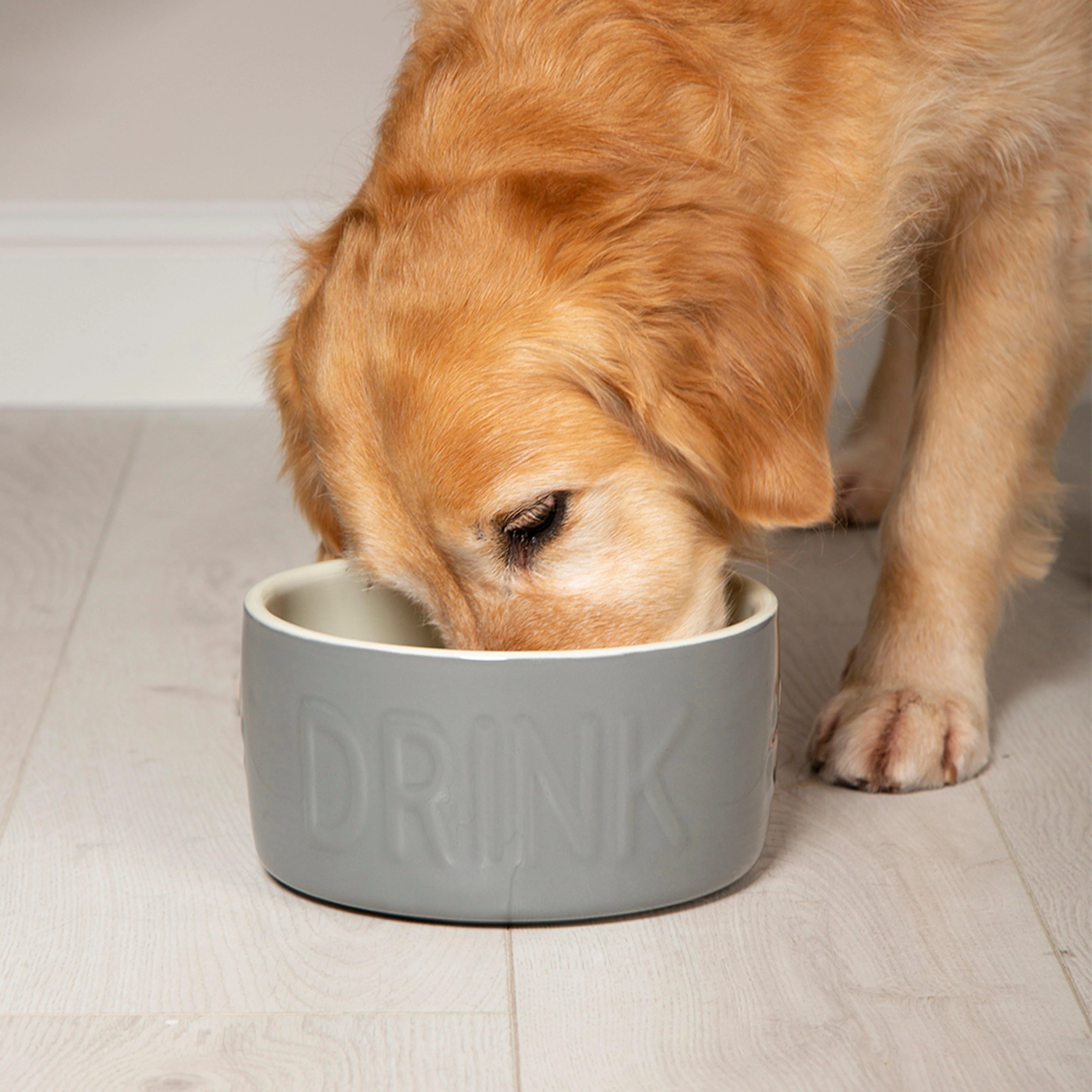 Classic Water Bowl Grey 20cm - Image 3