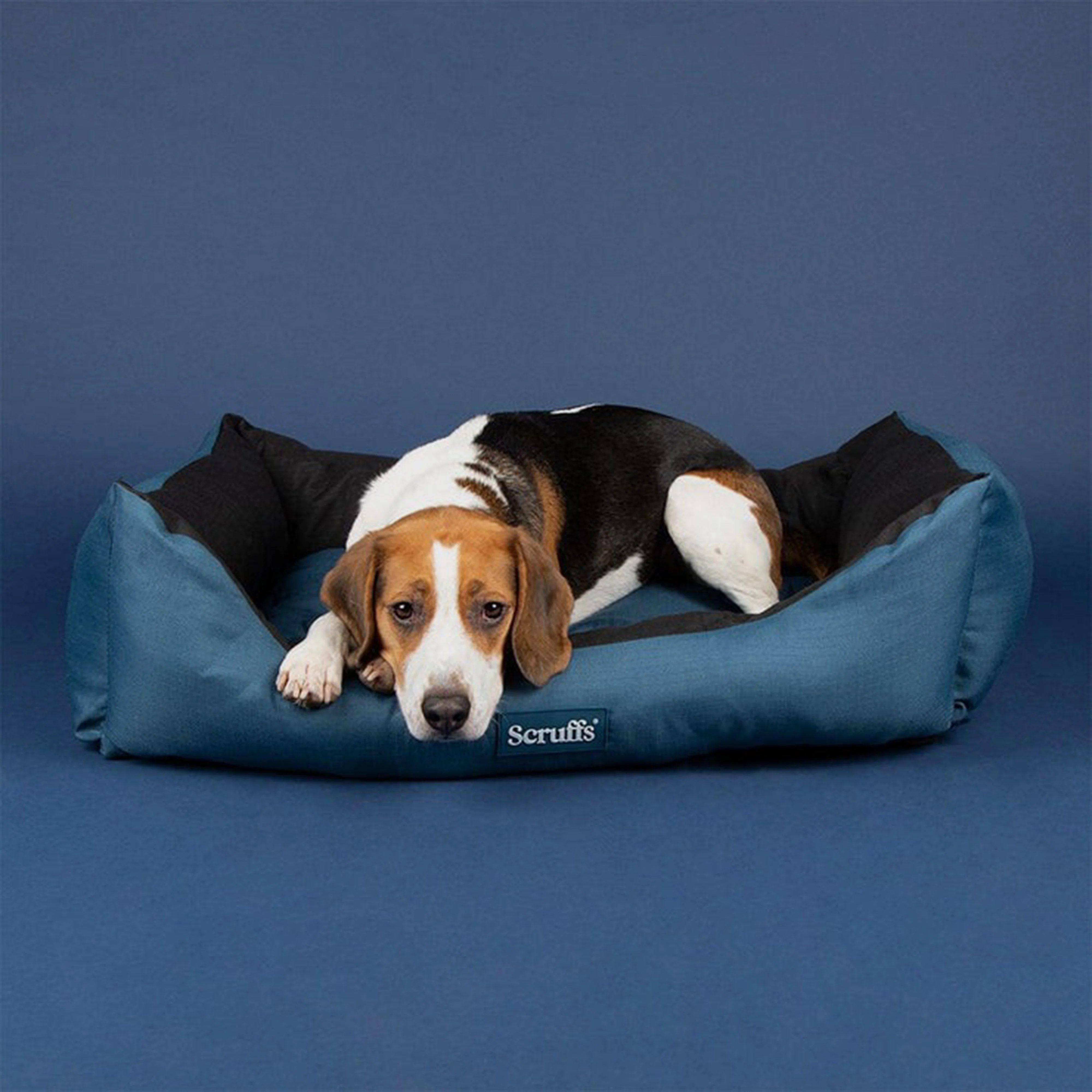Expedition Box Bed Atlantic Blue XL - Image 5
