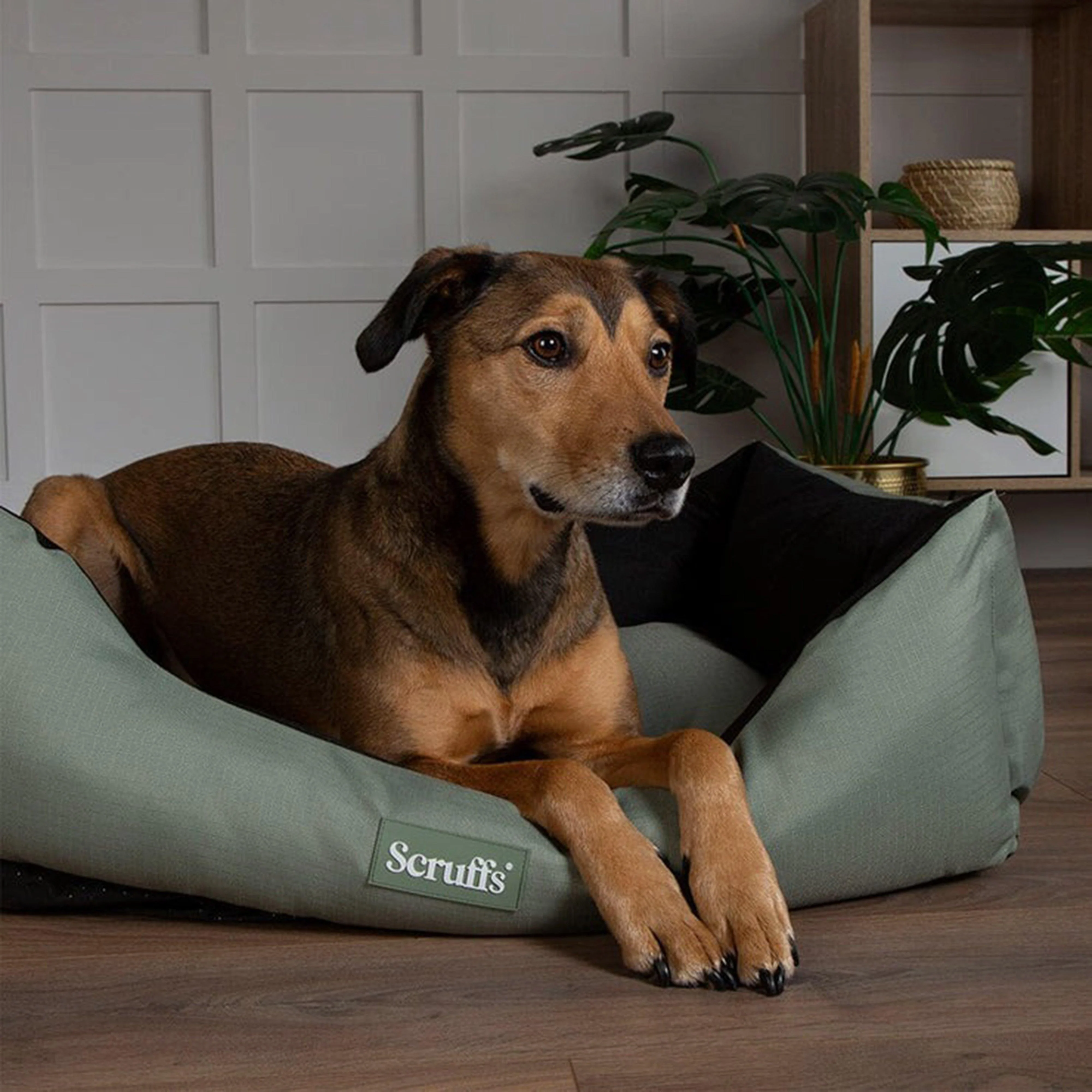 Expedition Box Bed Khaki Green M - Image 4