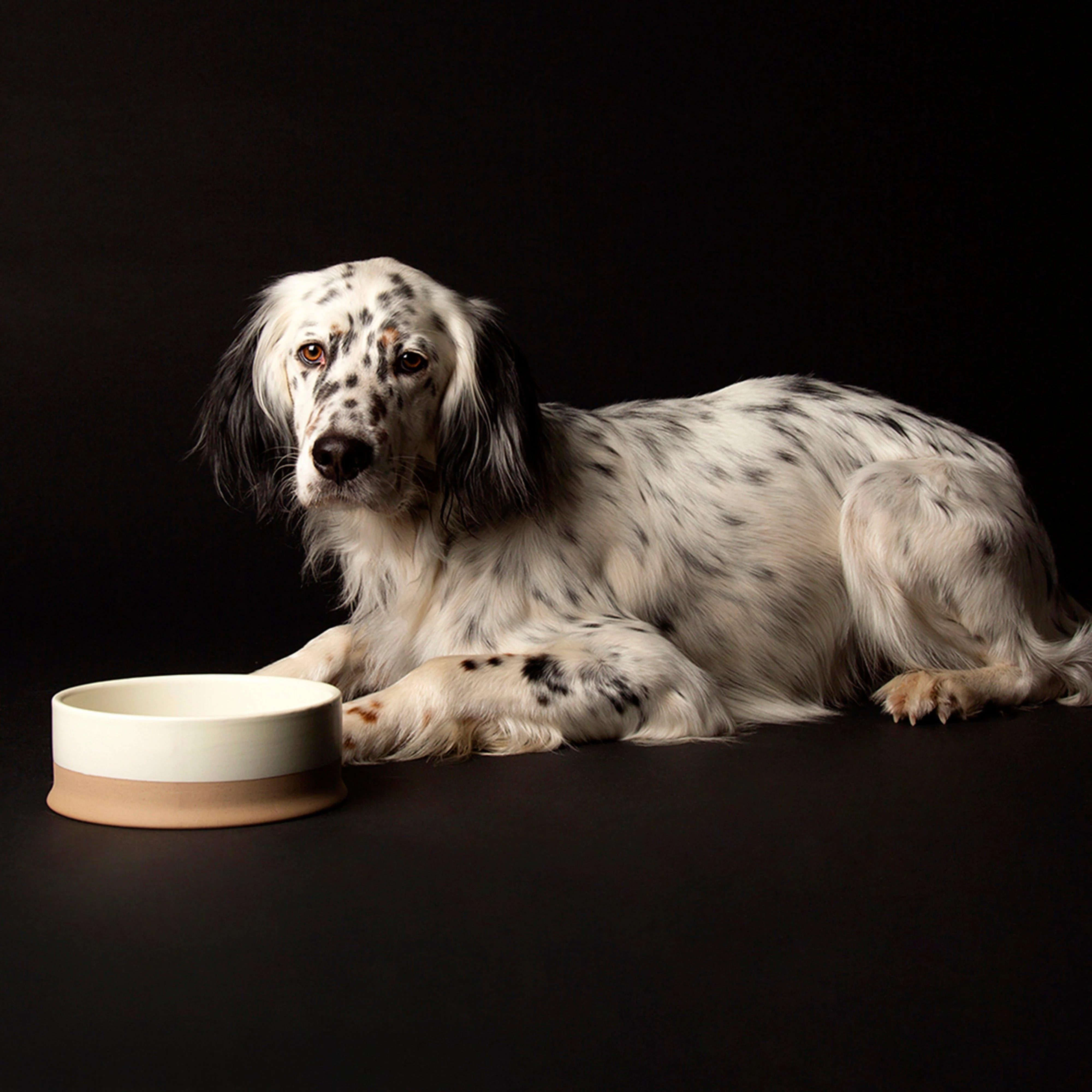 Scandi Non Tip Bowl Cream 20cm - Image 3