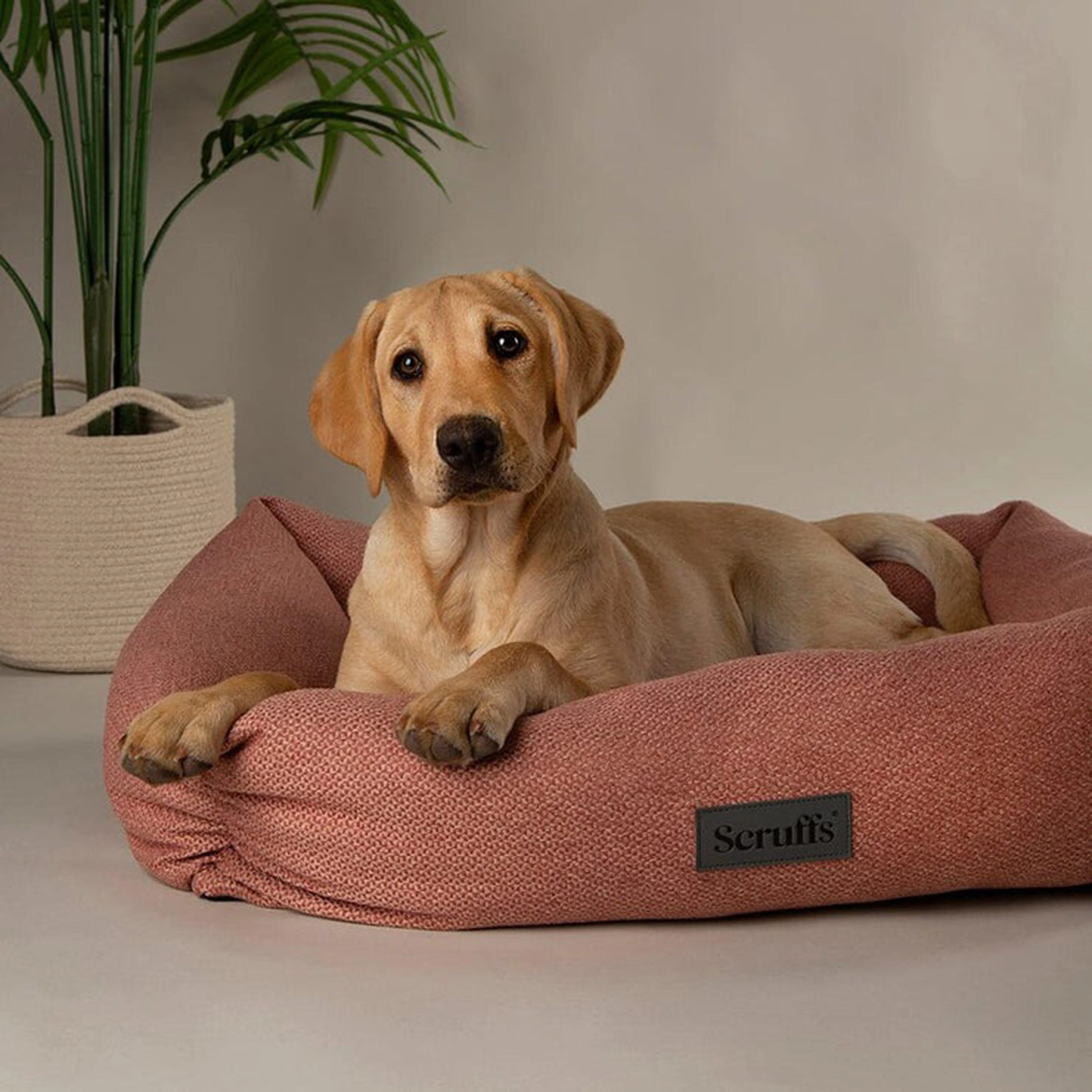 Seattle Box Bed Coral Pink XL - Image 5