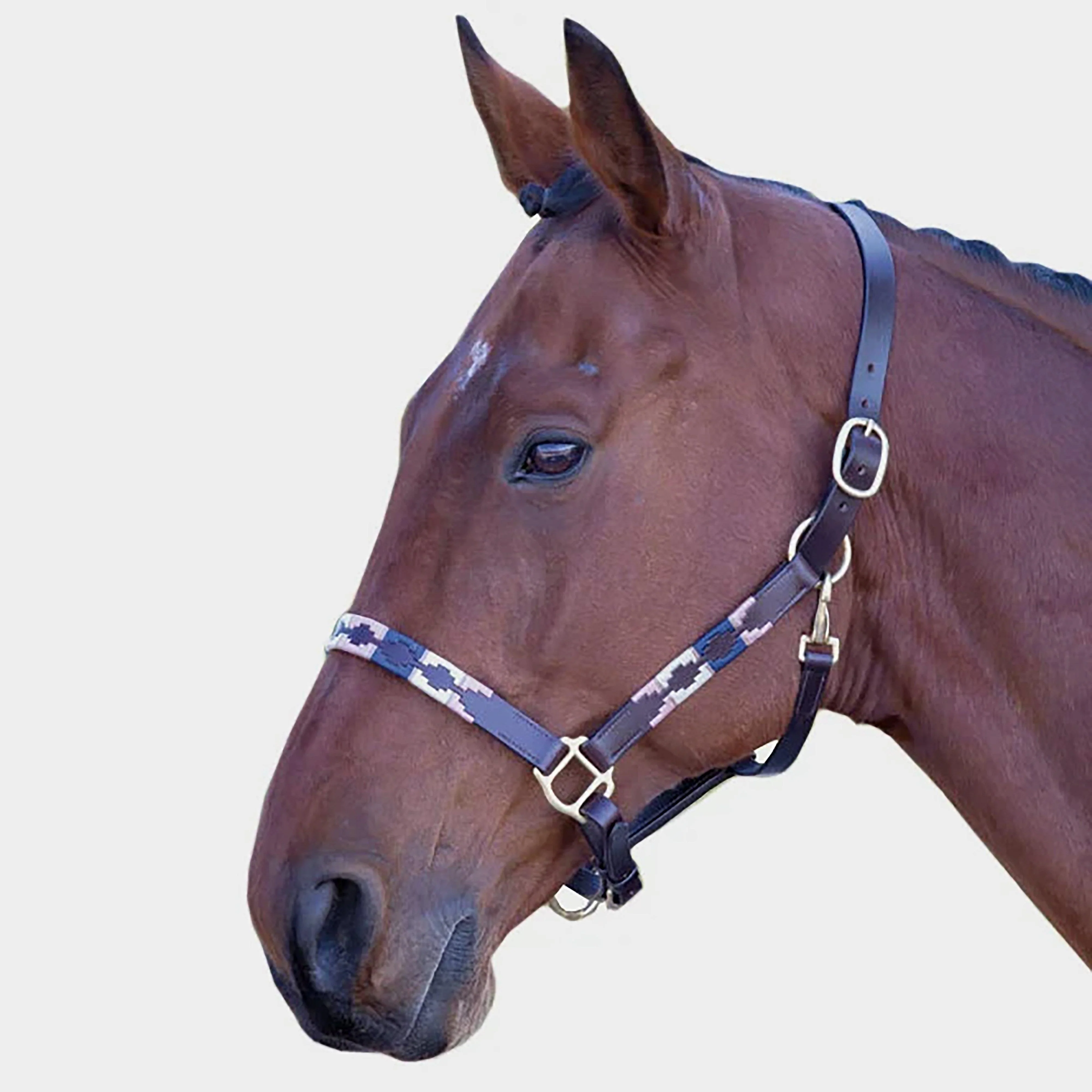 Blenheim Leather Polo Headcollar Pink/Navy