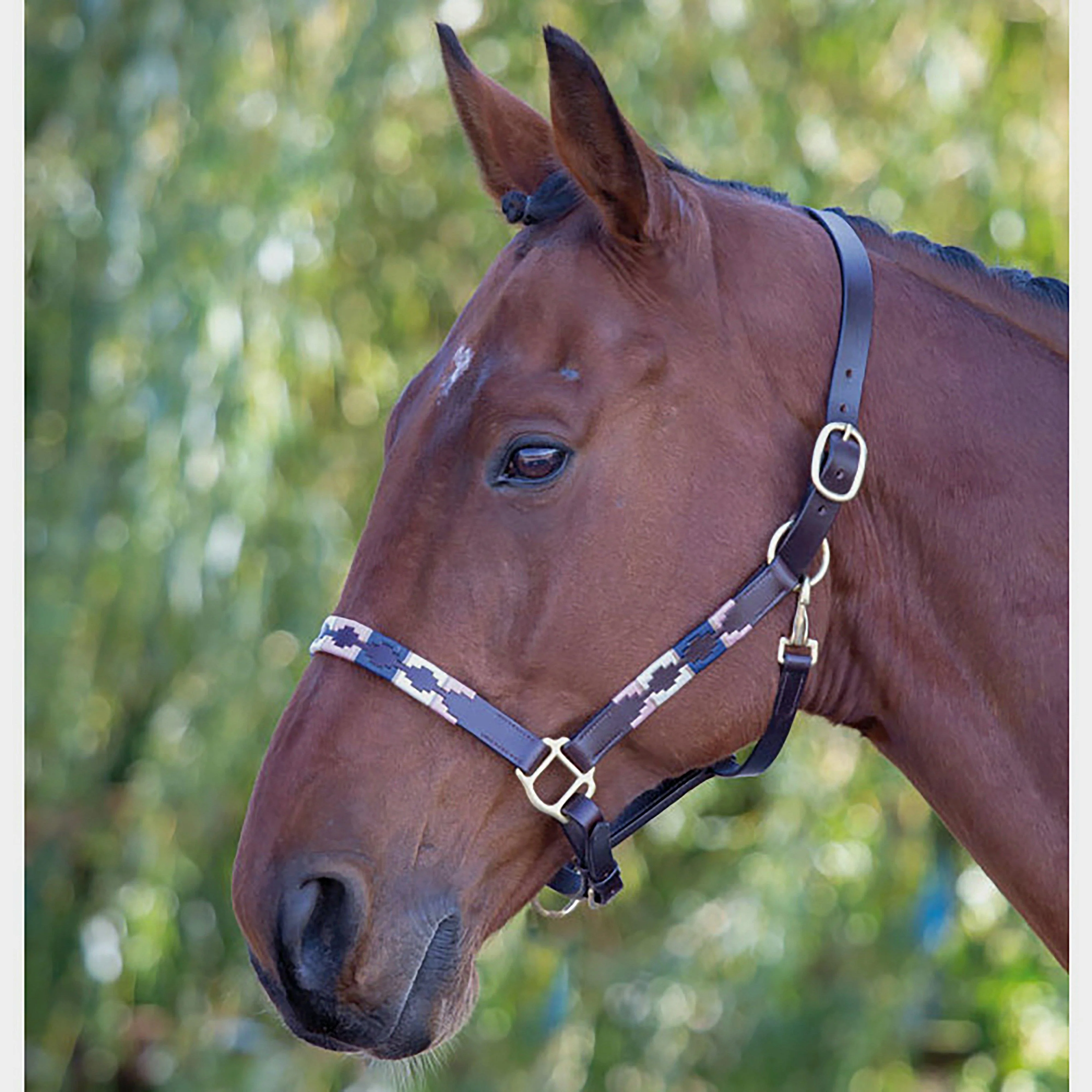 Blenheim Leather Polo Headcollar Pink/Navy - Image 2
