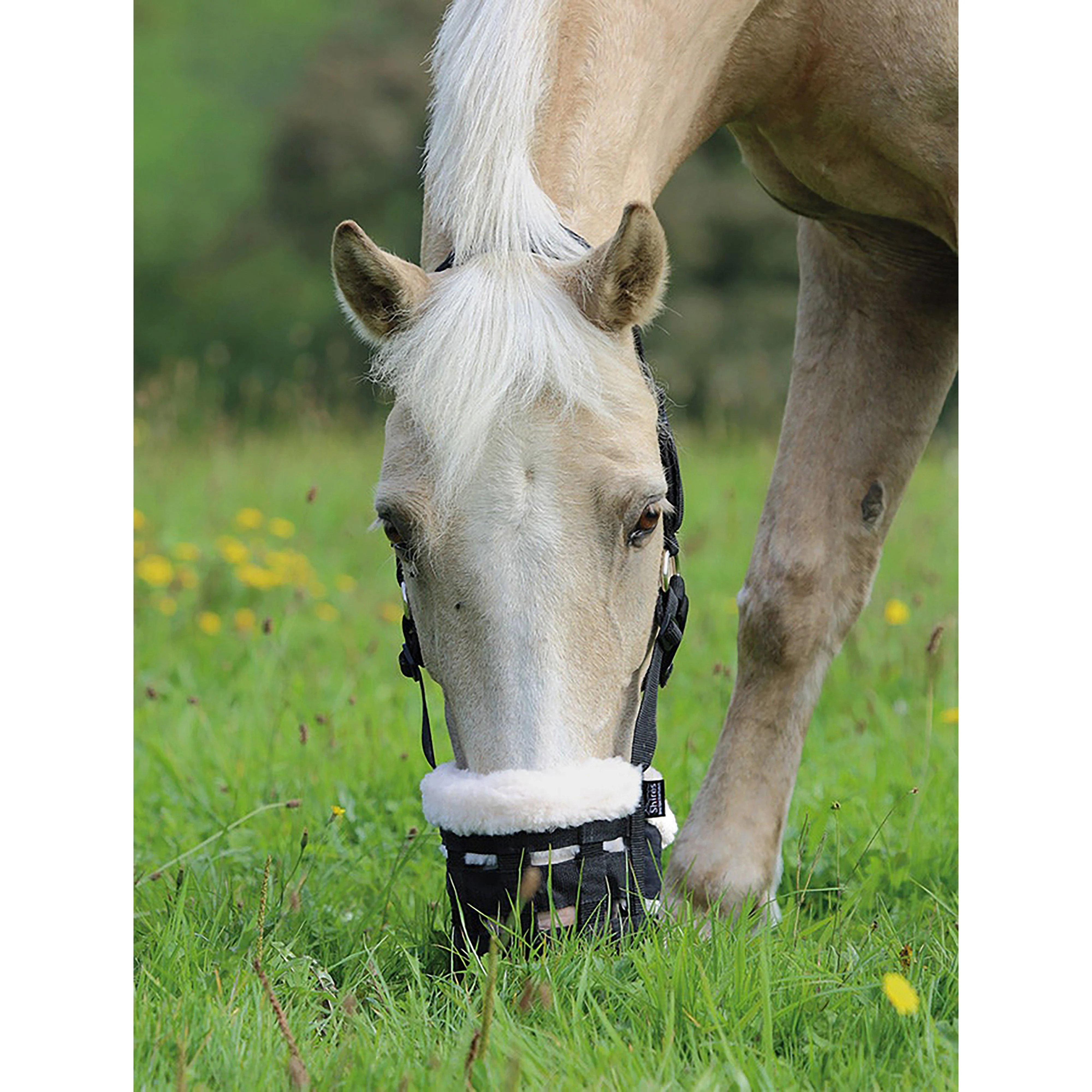 Deluxe Comfort Grazing Muzzle Black - Image 3