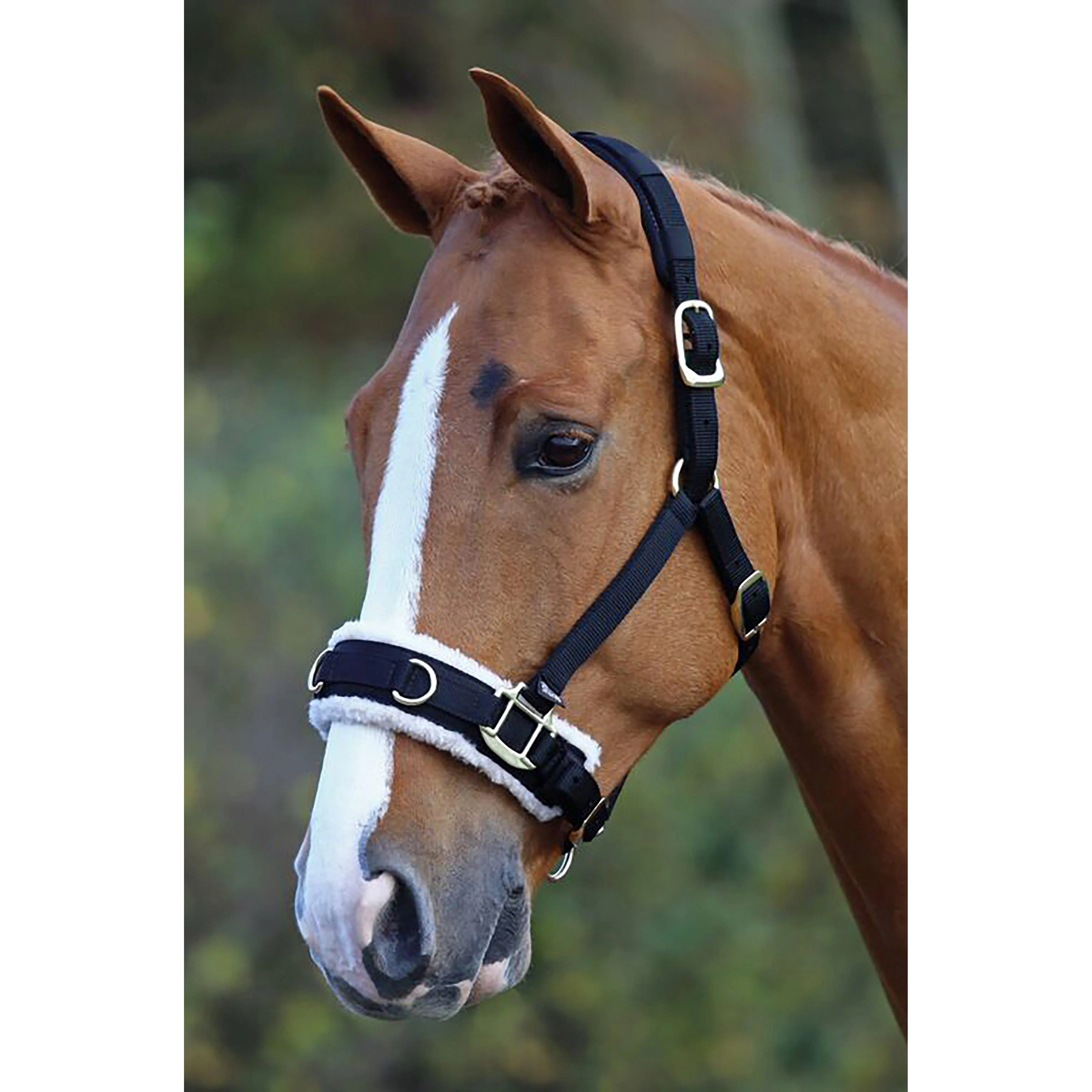 Fleece Lined Lunge Cavesson Black - Image 3
