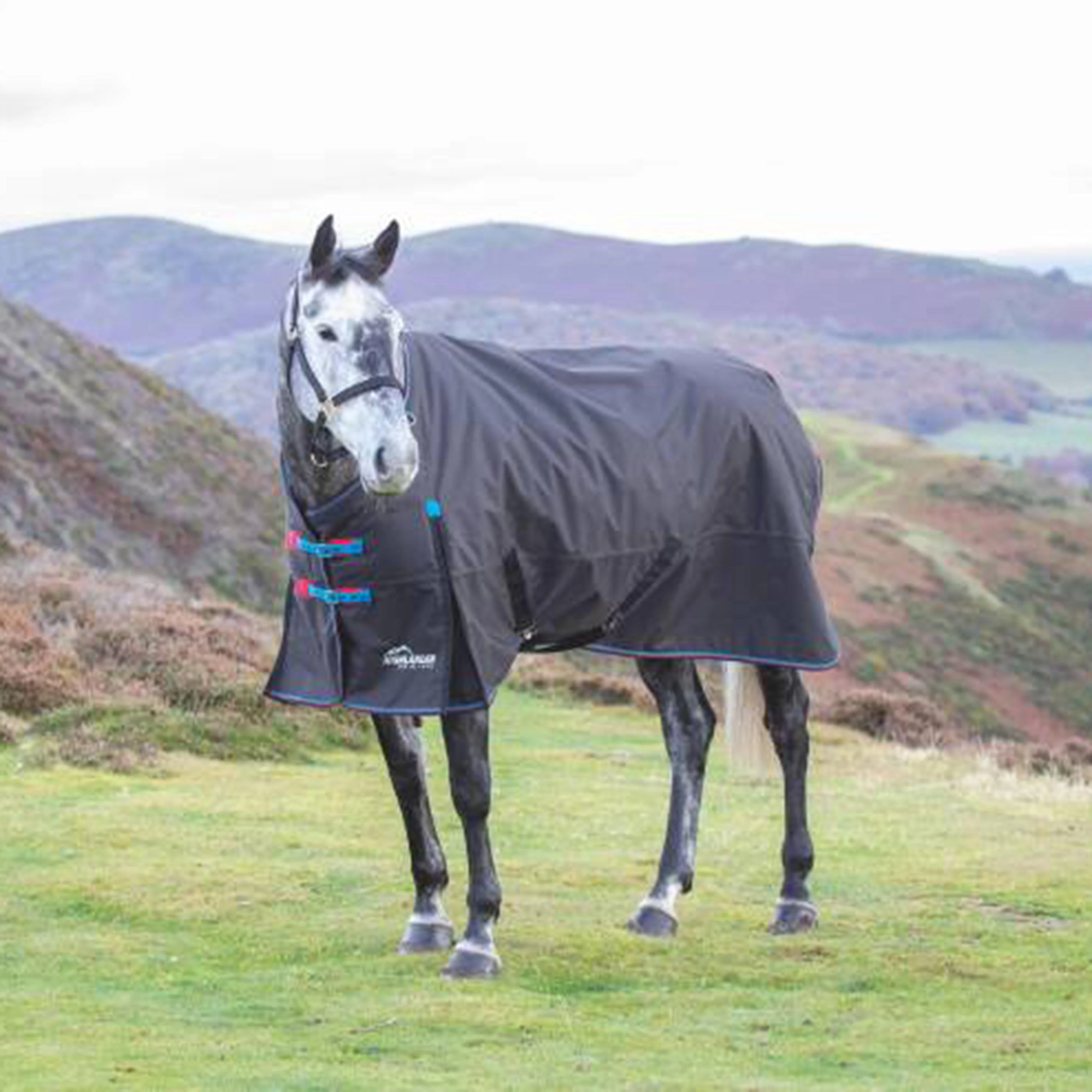 Highlander Original 200g Medium Weight Standard Neck Turnout Rug Black - Image 2