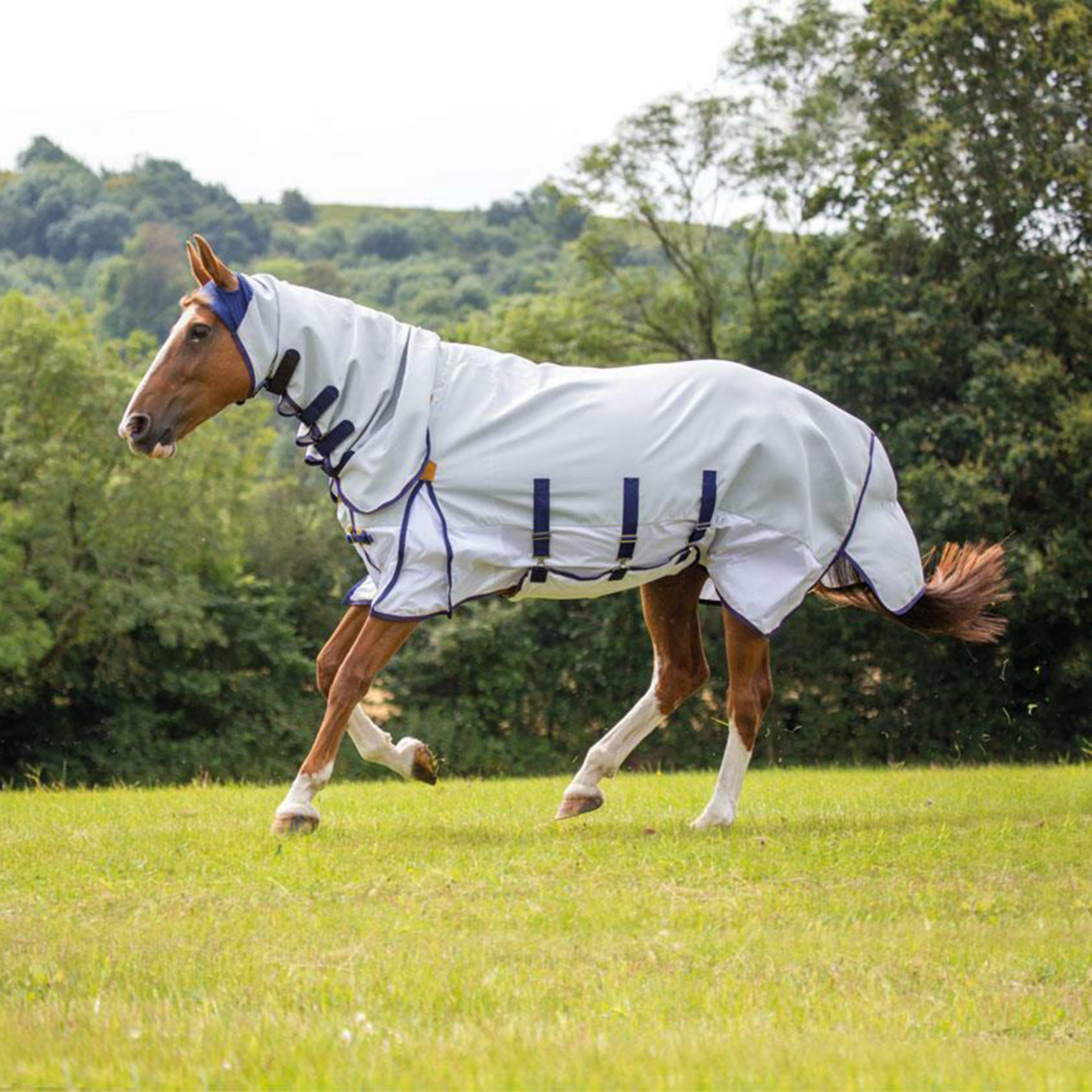 Highlander Plus Sun Shade Fly Combo Rug White - Image 3