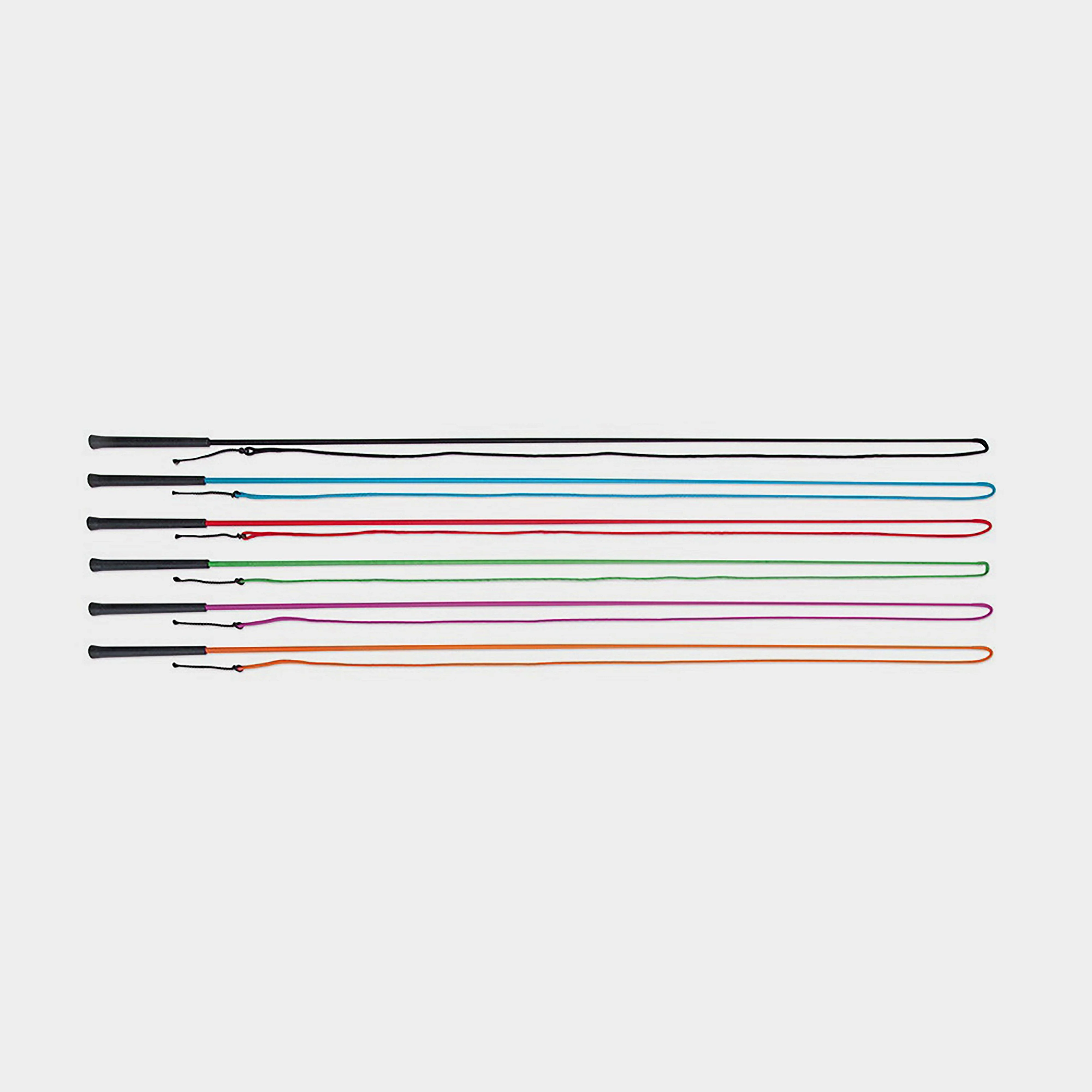 Lunging Whip Pink